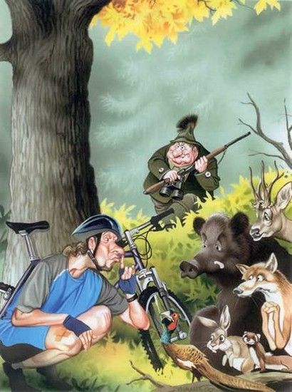 Österreich Radfahren verboten im Wald.jpg