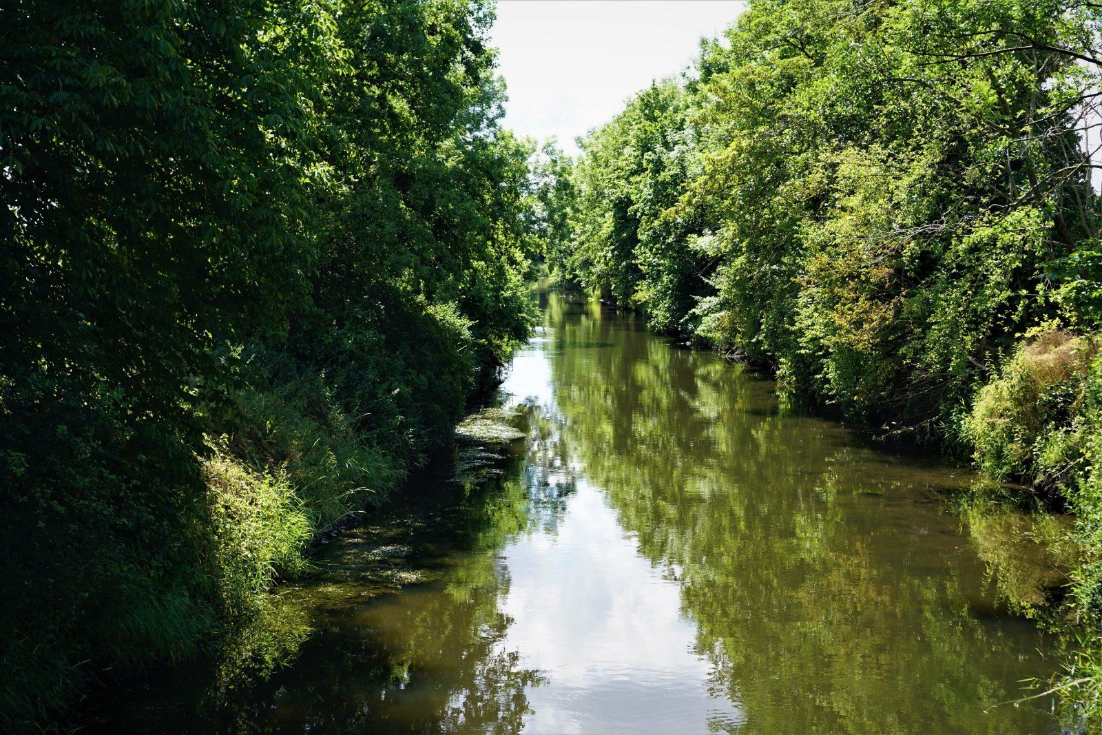 Oker bei Dorstadt.JPG