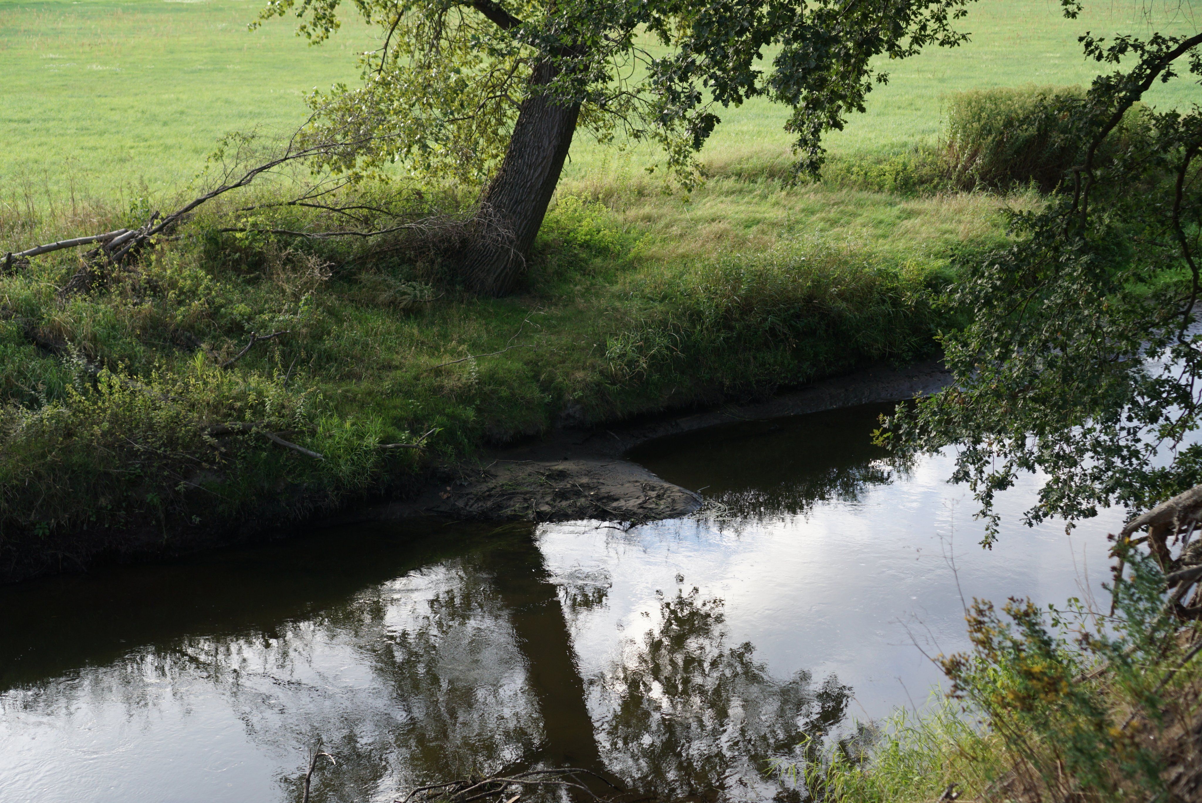 Okersteilufer bei Veltenhof.JPG