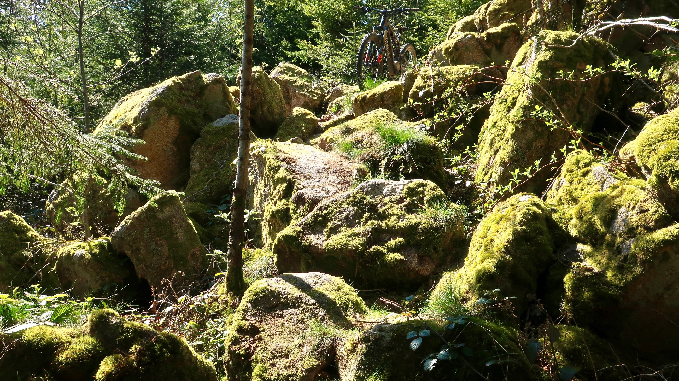 on th rocks - 4.jpg
