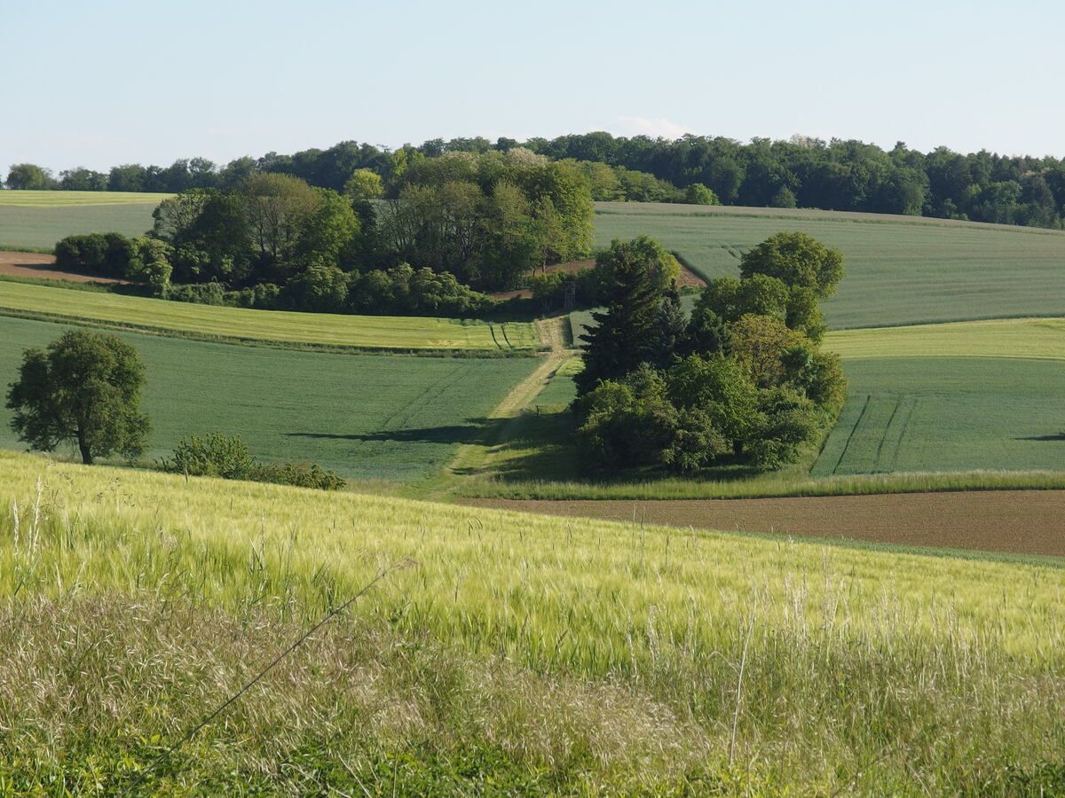 OXZ20237.JPG