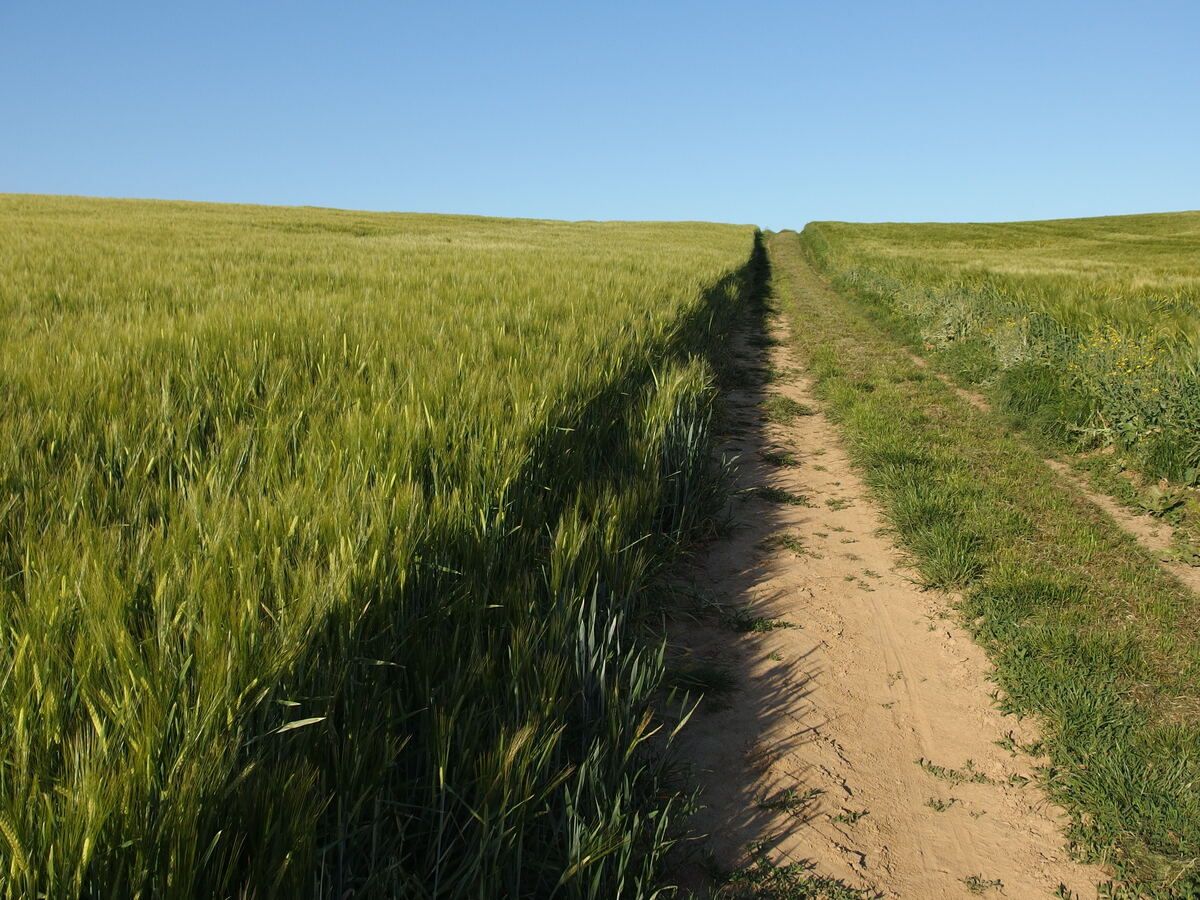 OXZ20265.JPG