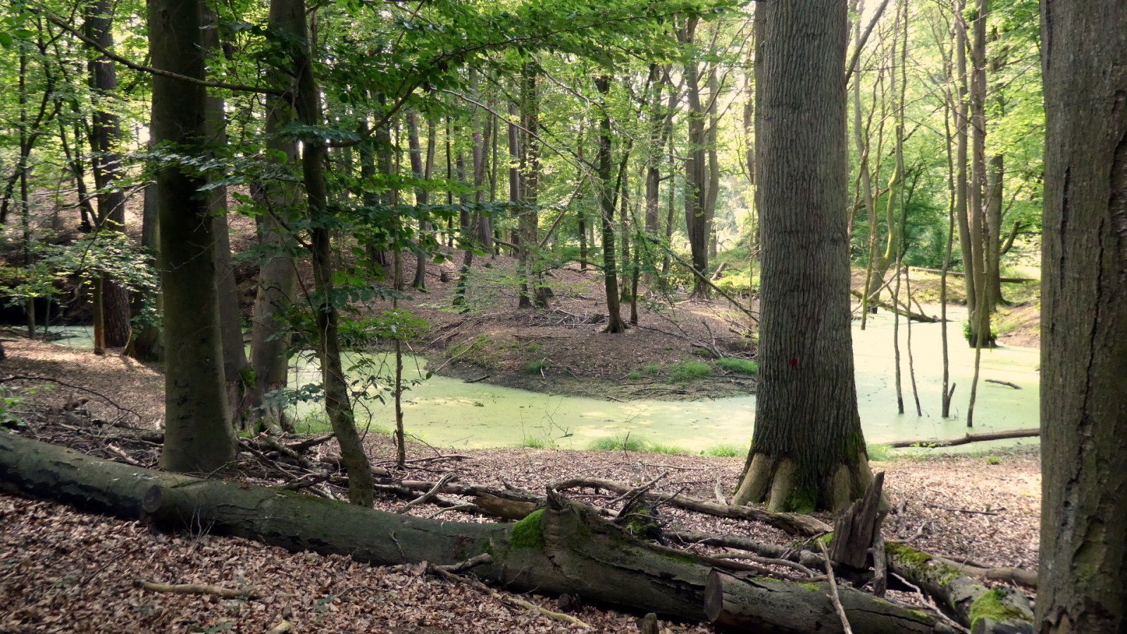 P1000361.JPG