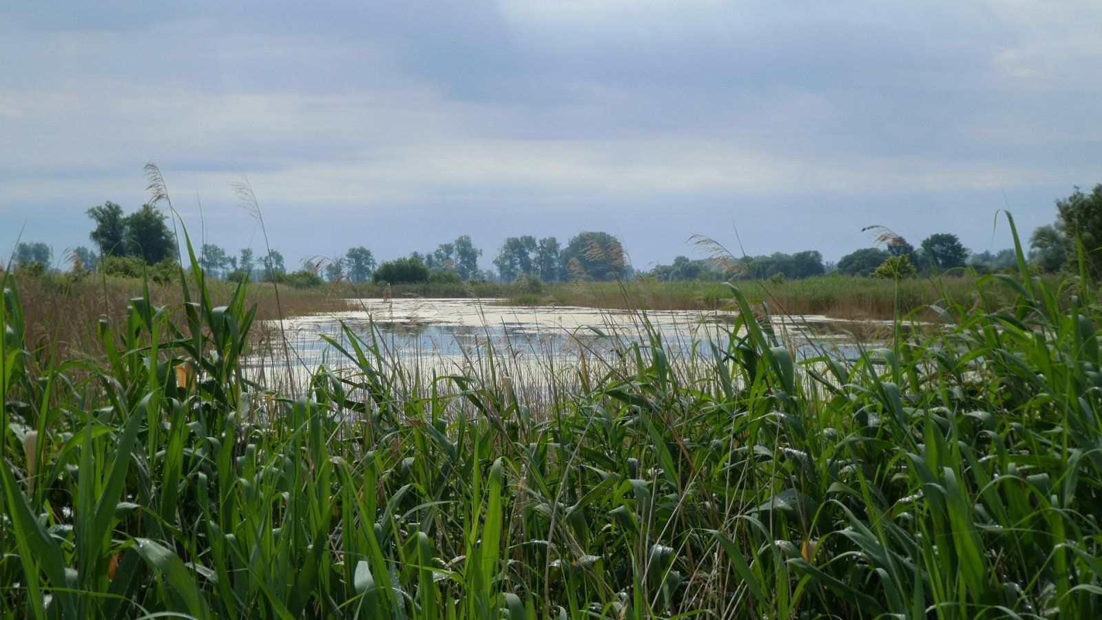 P1000784.JPG