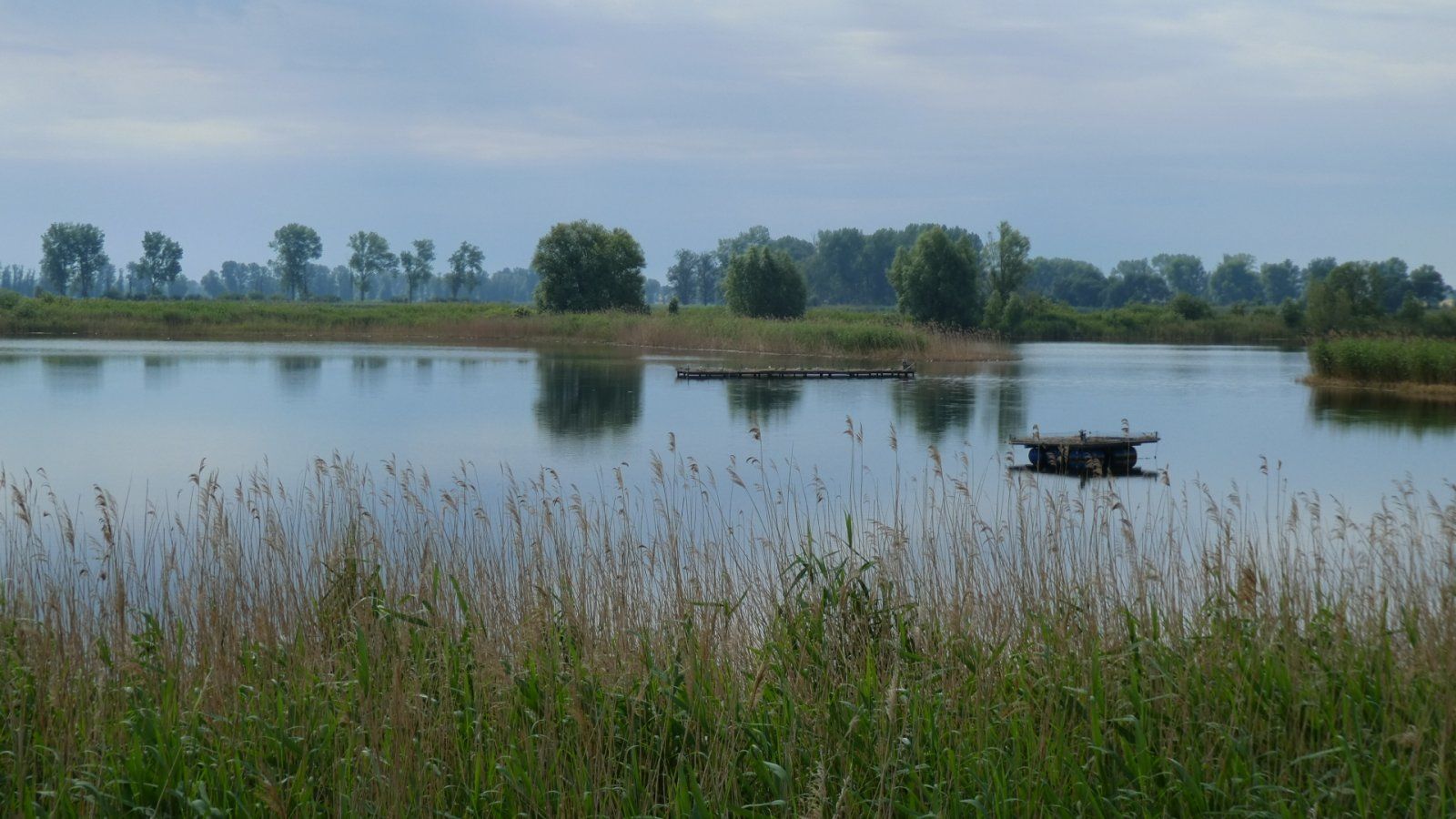 P1000787.JPG