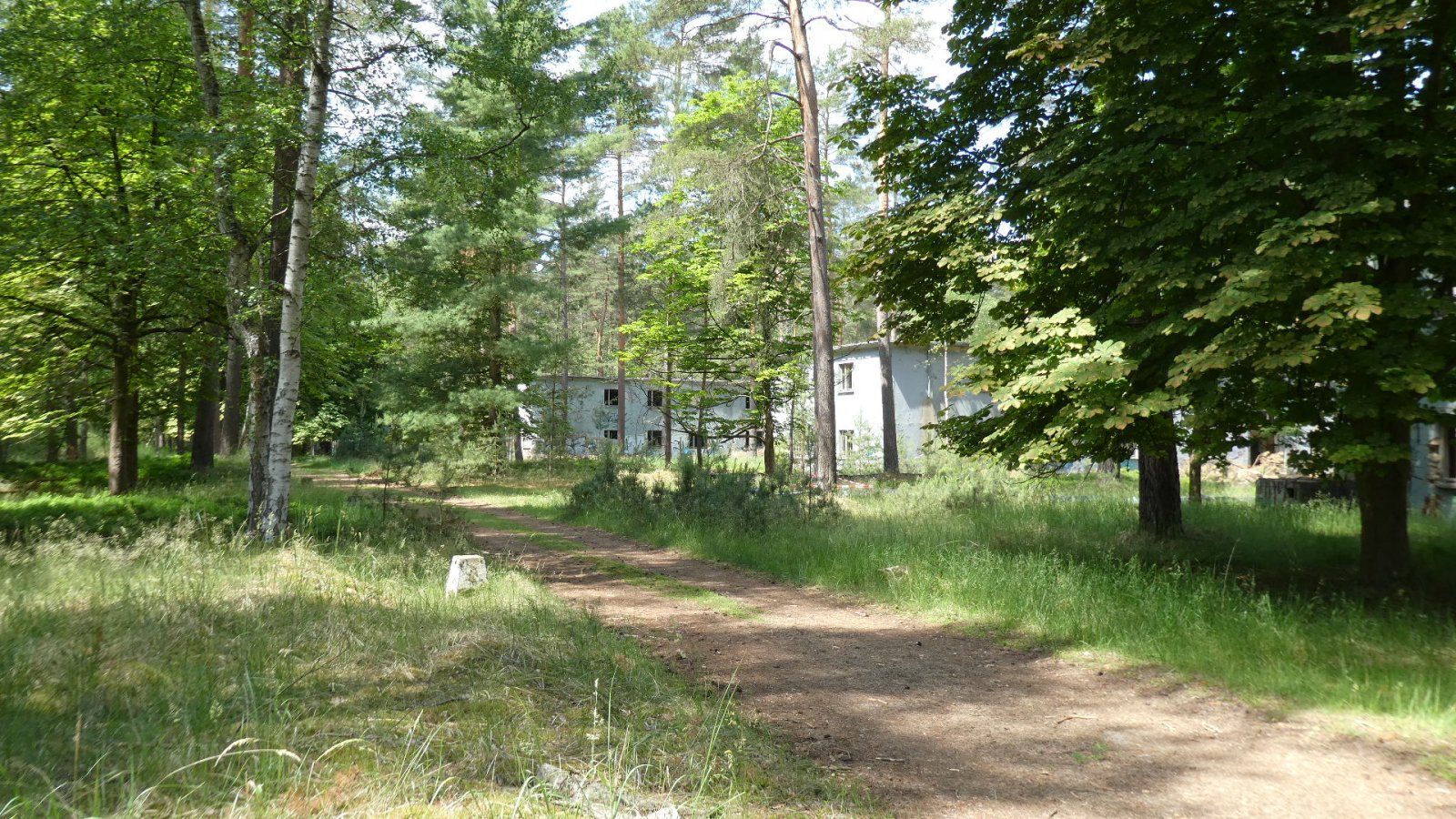 P1000801.JPG