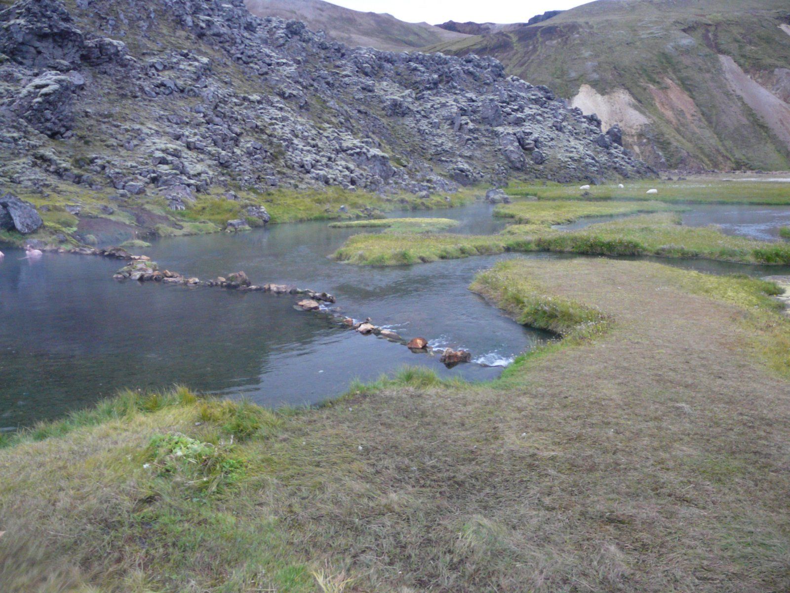 P1000846.JPG