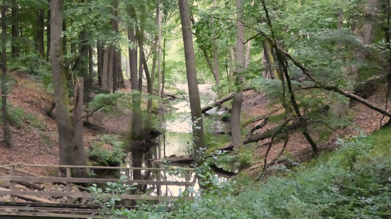 P1010846.JPG
