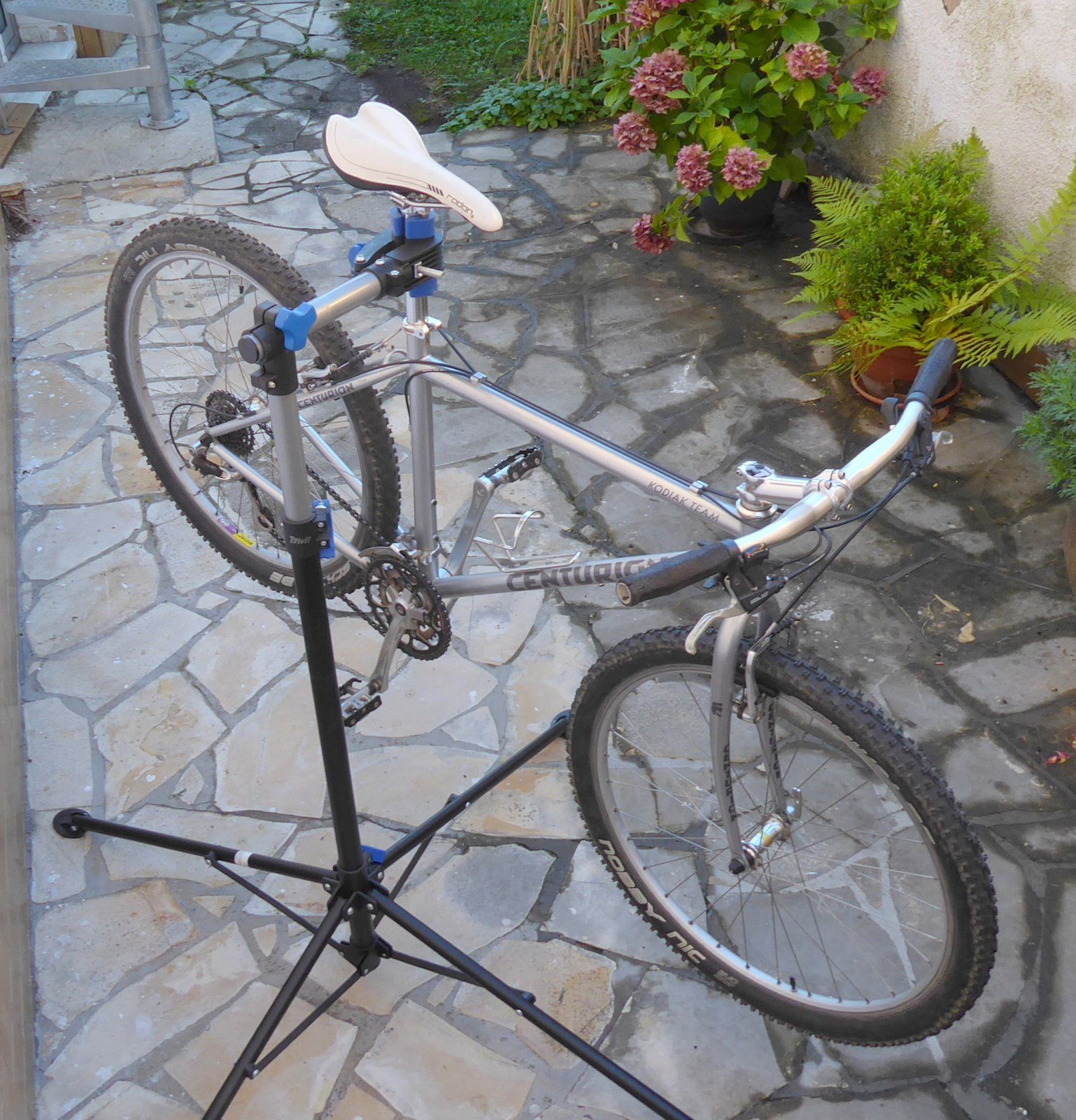 P1020342.JPG