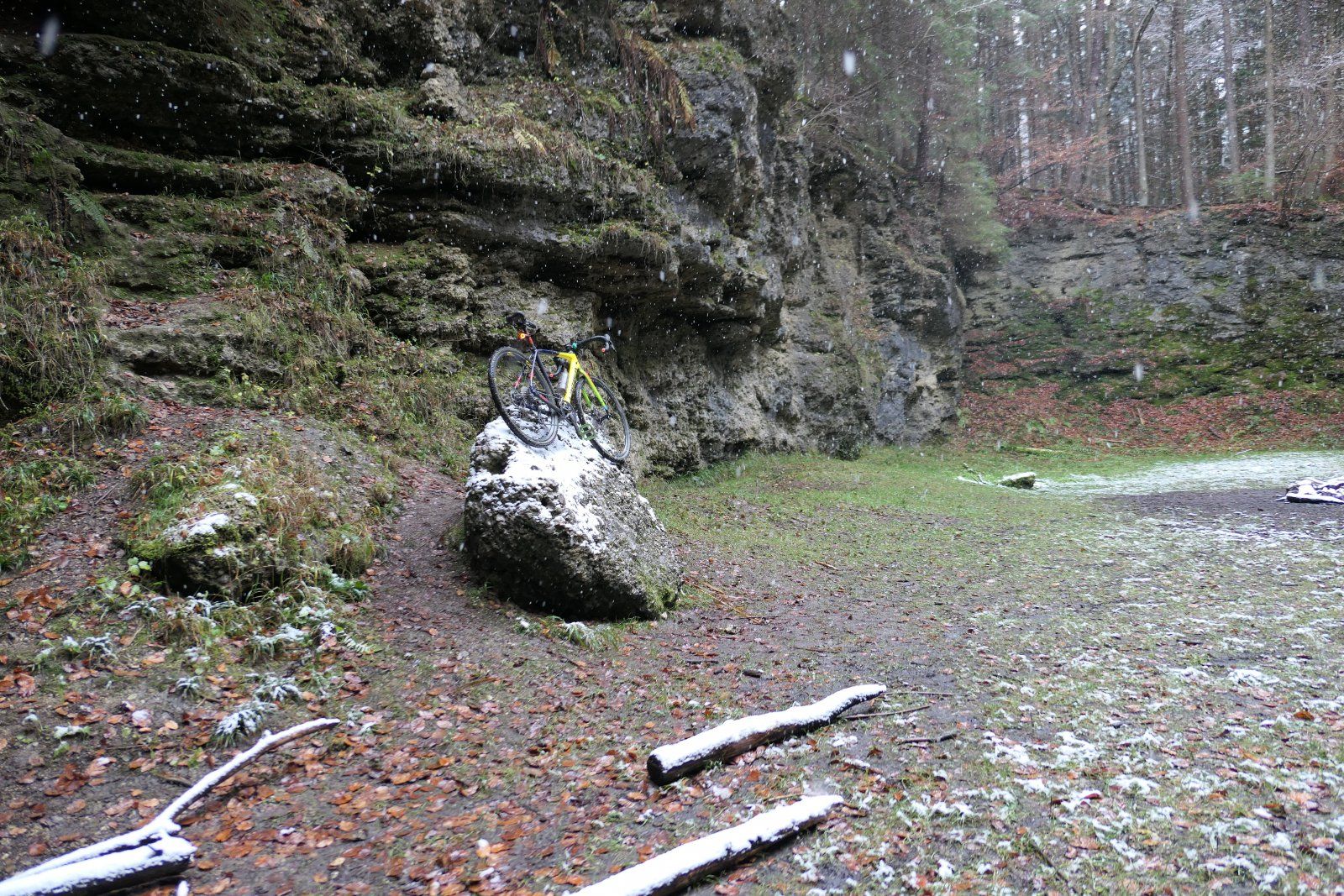 P1020891.JPG