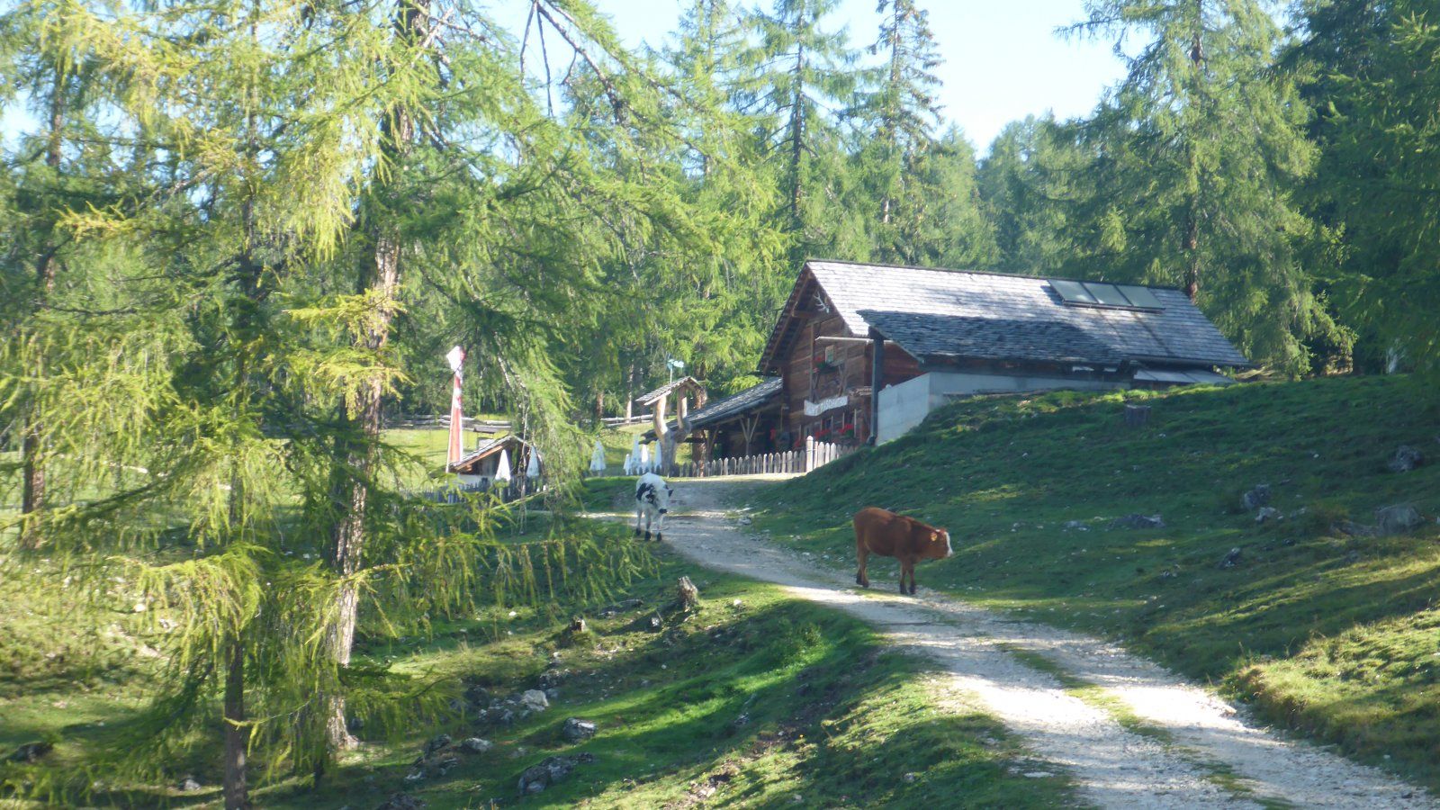 P1040540.JPG