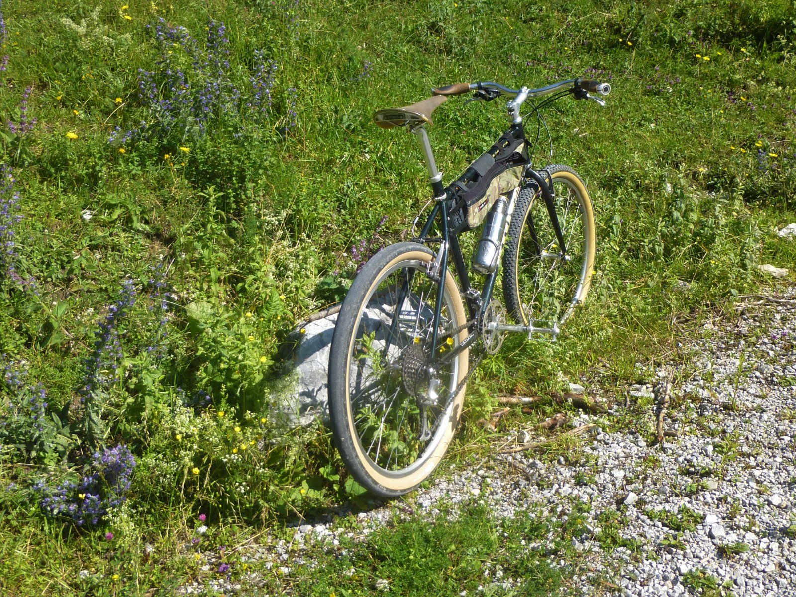 P1040659.JPG