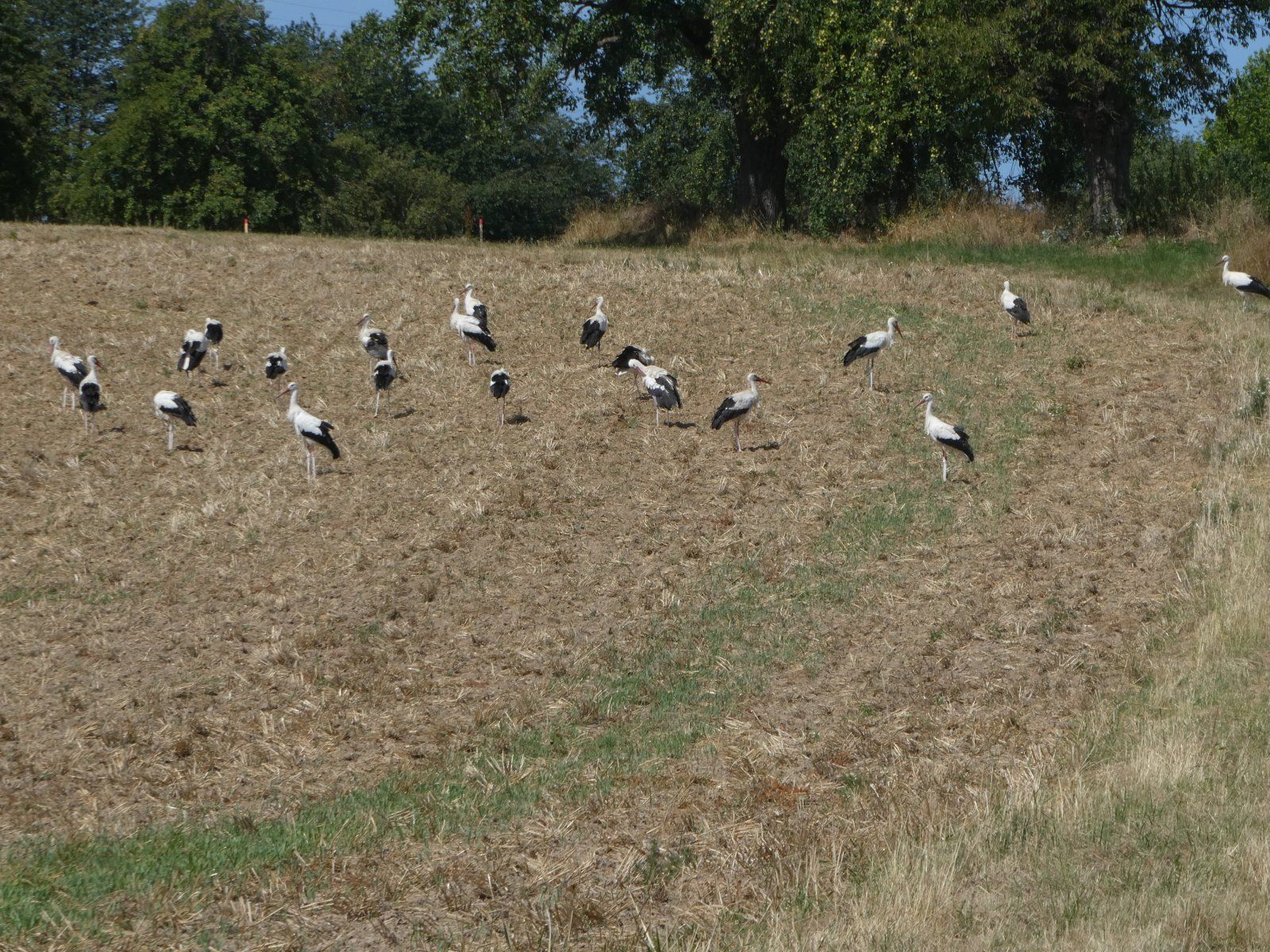 P1050060.JPG