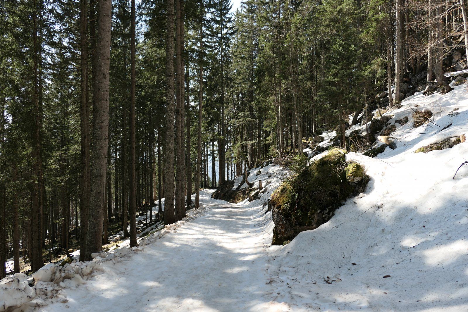 P1050104.JPG