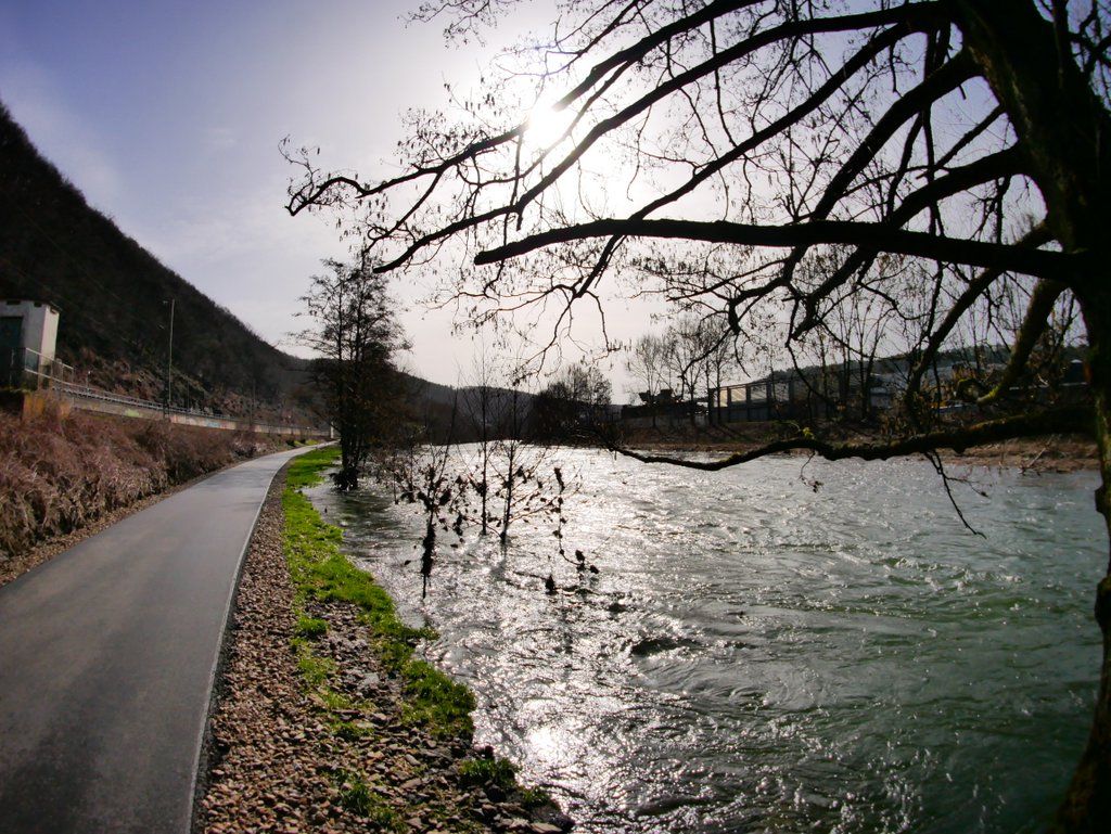 P1050544.JPG