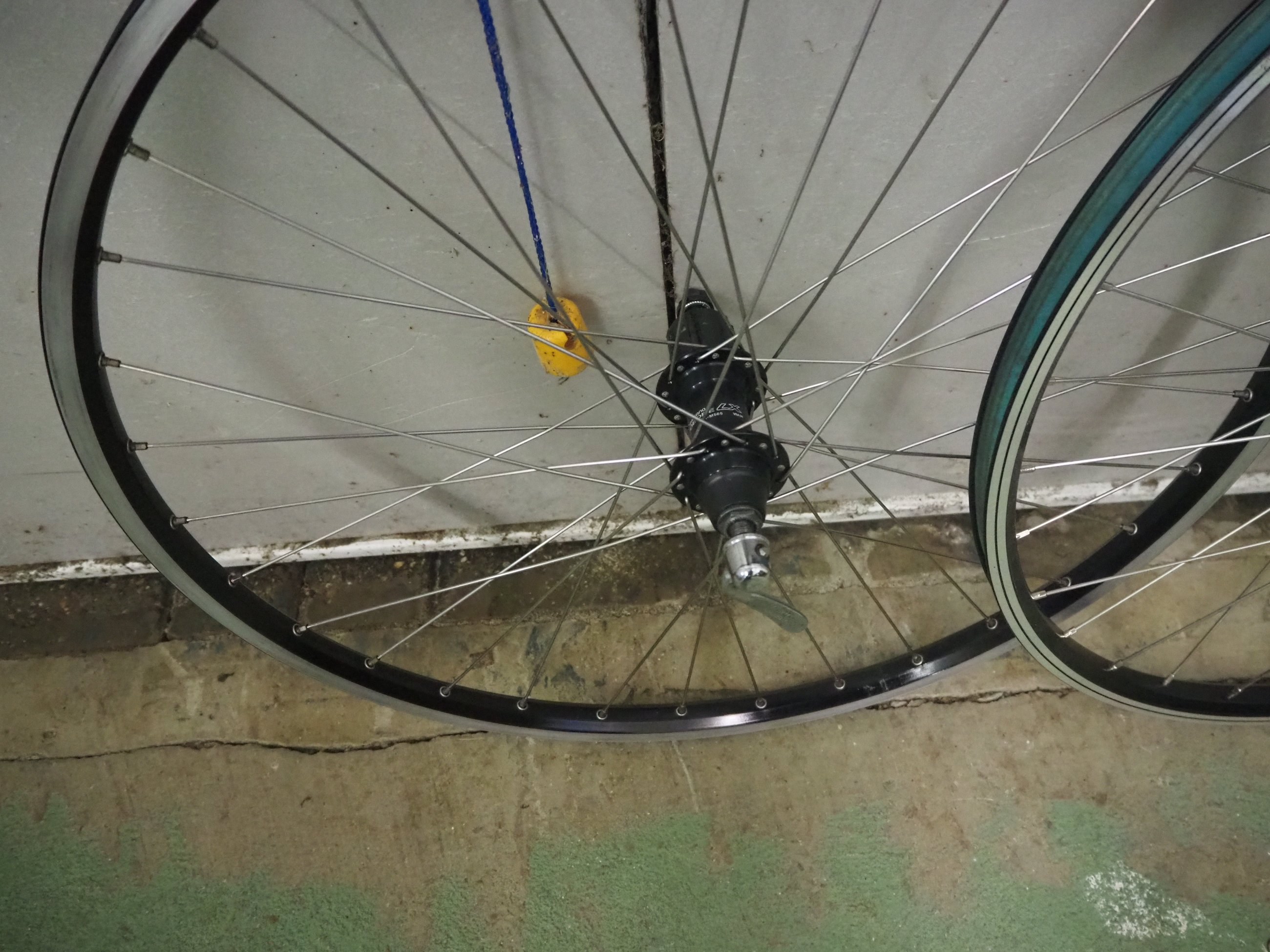 P1060008.JPG