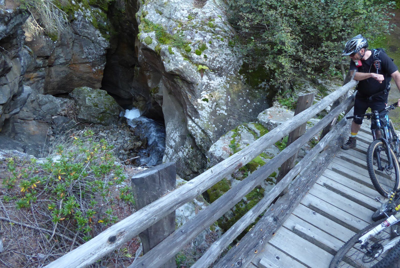 P1060713.JPG