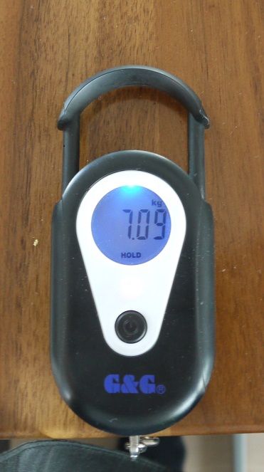 P1120693_k.jpg