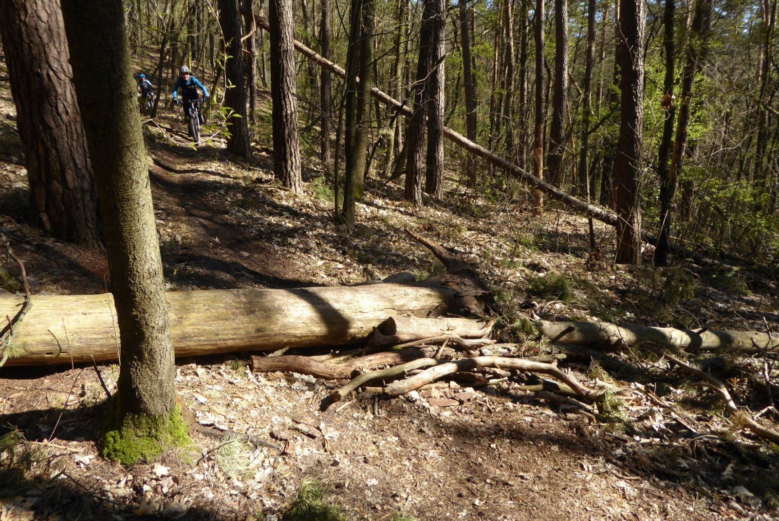 P1190041-2.JPG