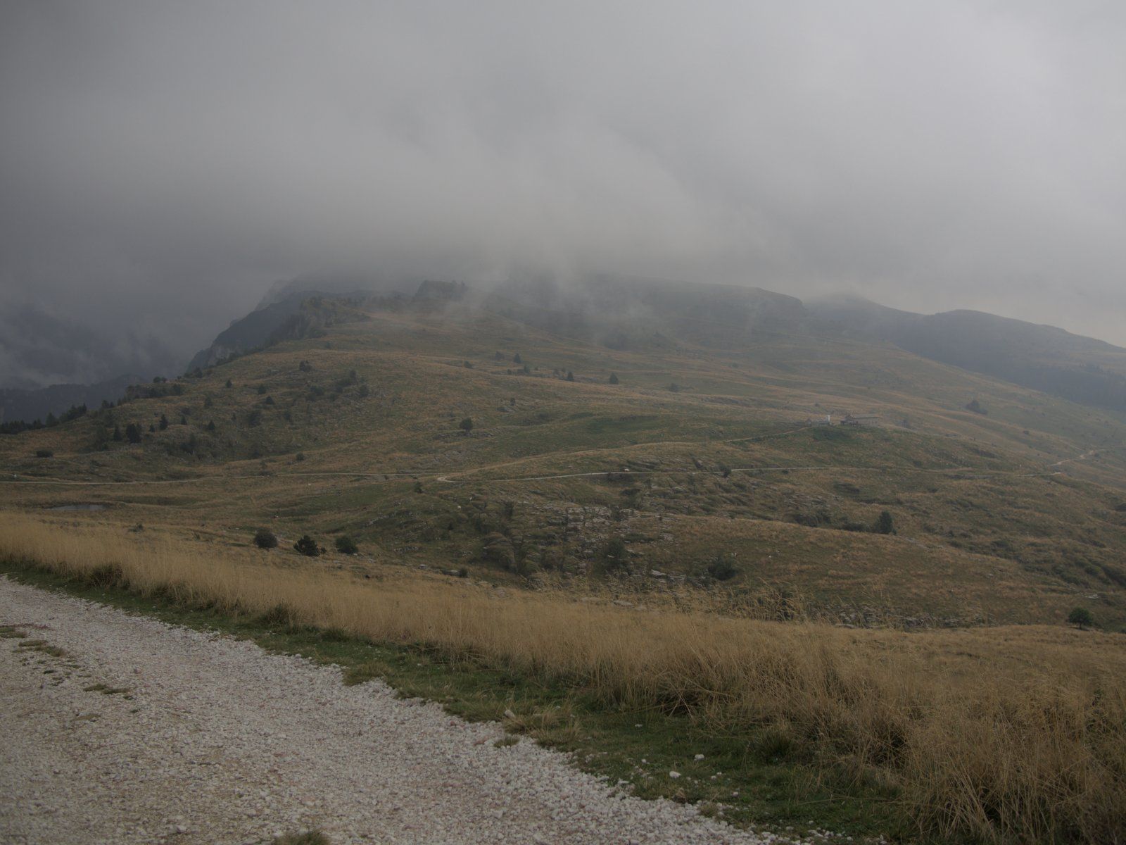 P9200433.jpg