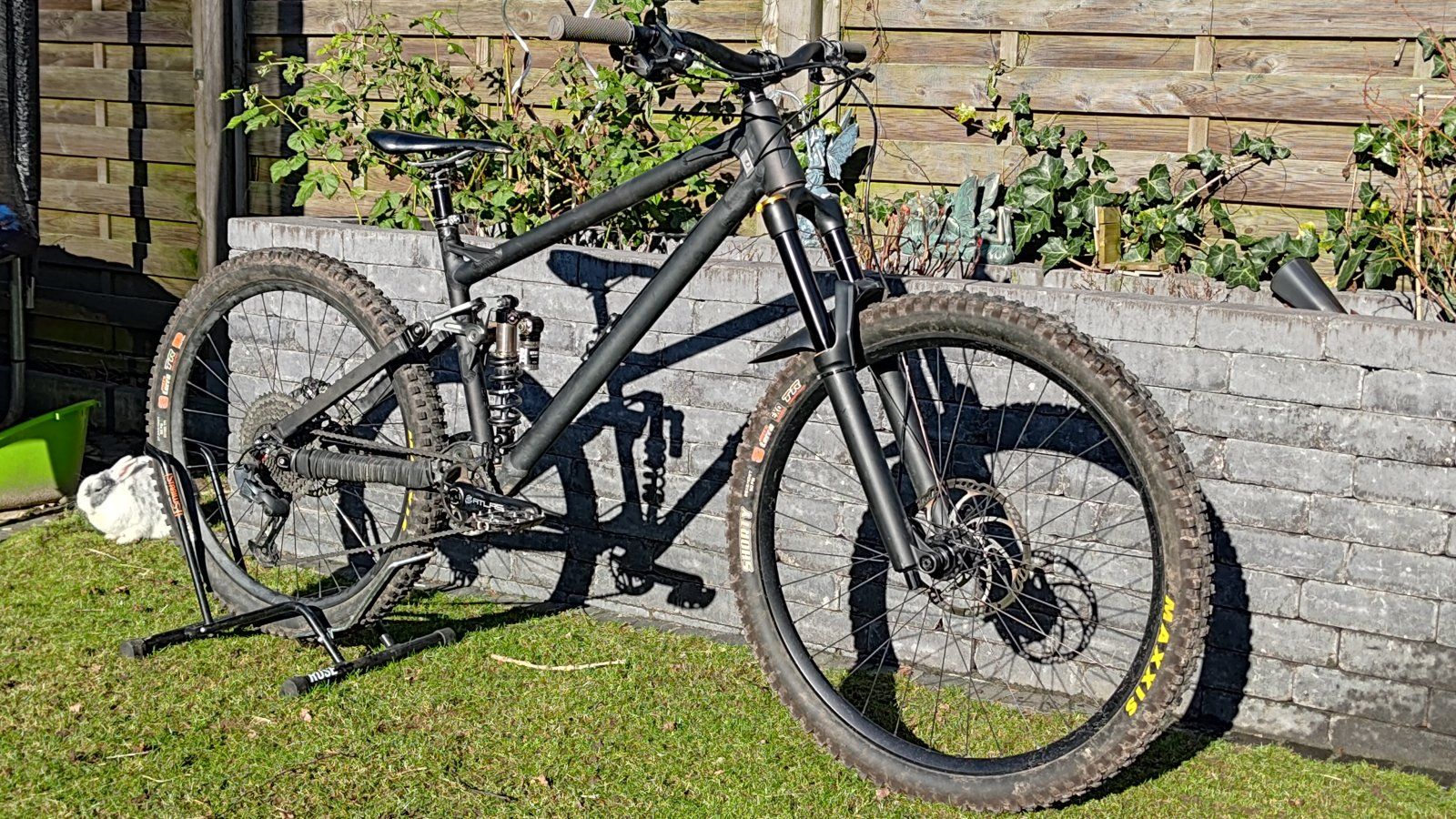 P_20240128_123415.jpg