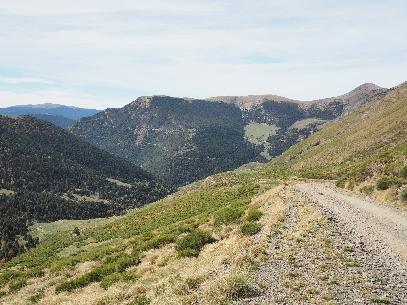 PA030147.JPG