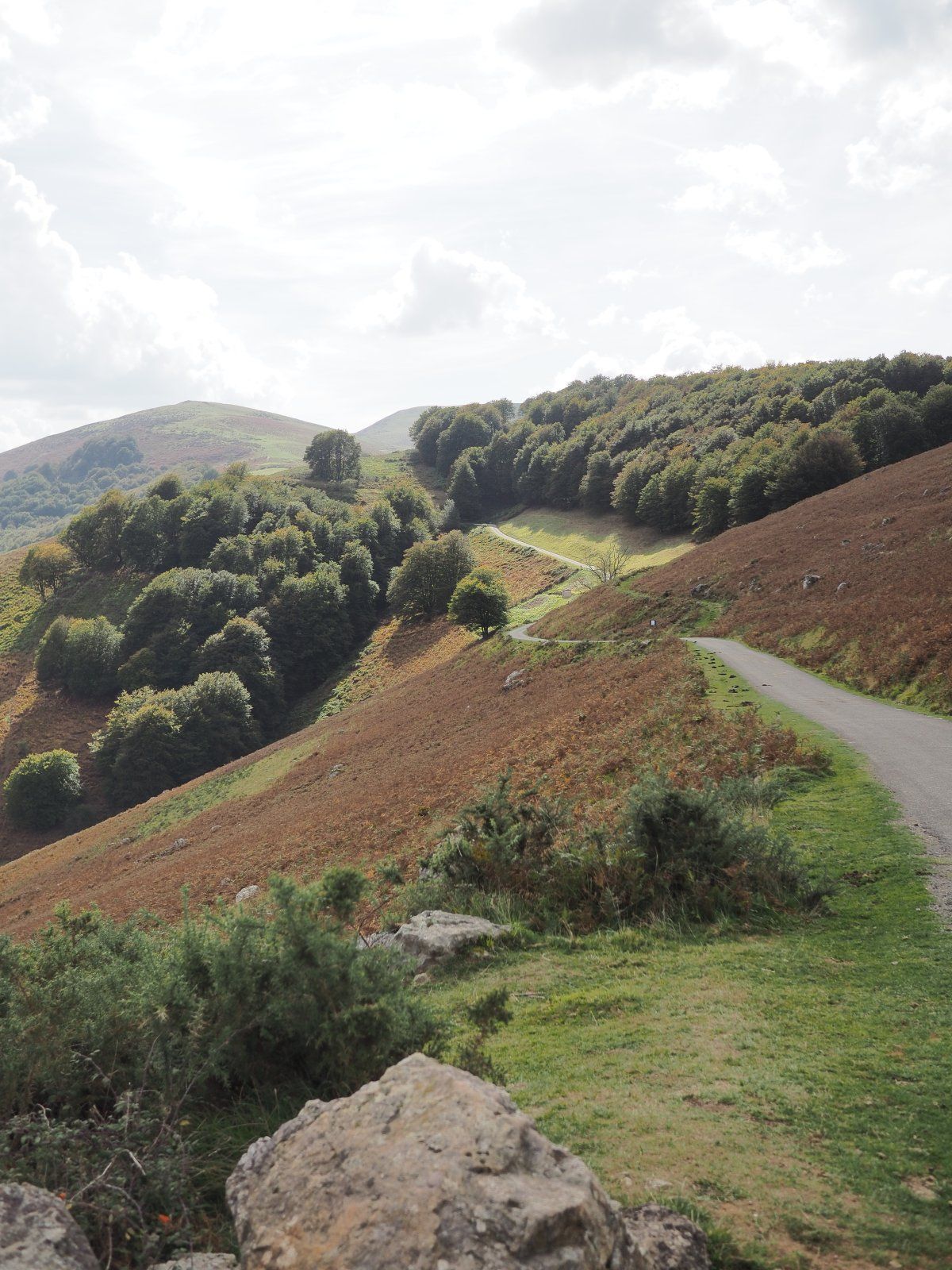 PA070272.JPG