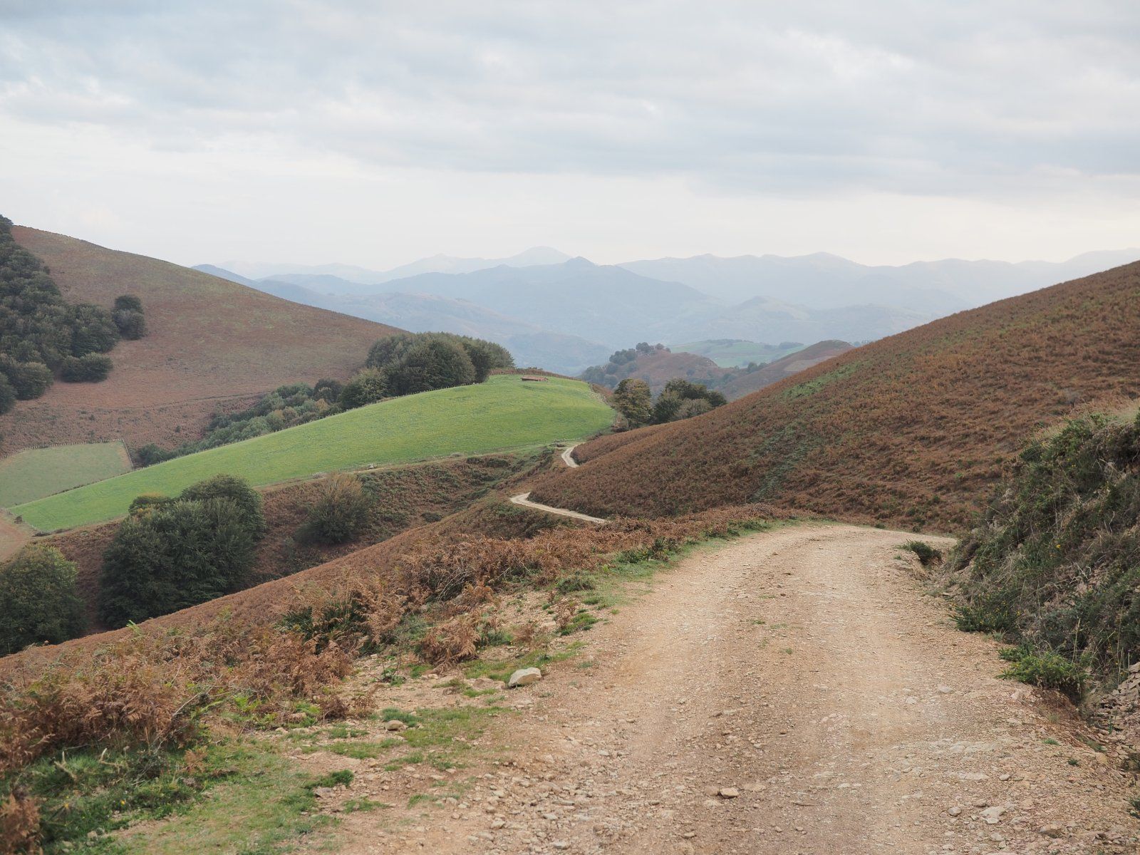 PA070280.JPG