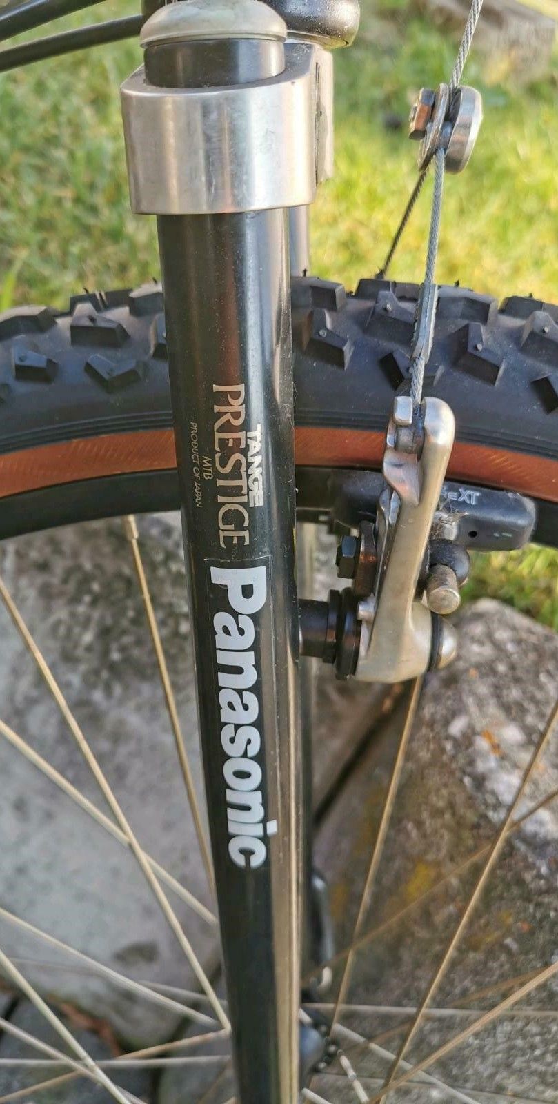 Panasonic Muriaki 3.JPG