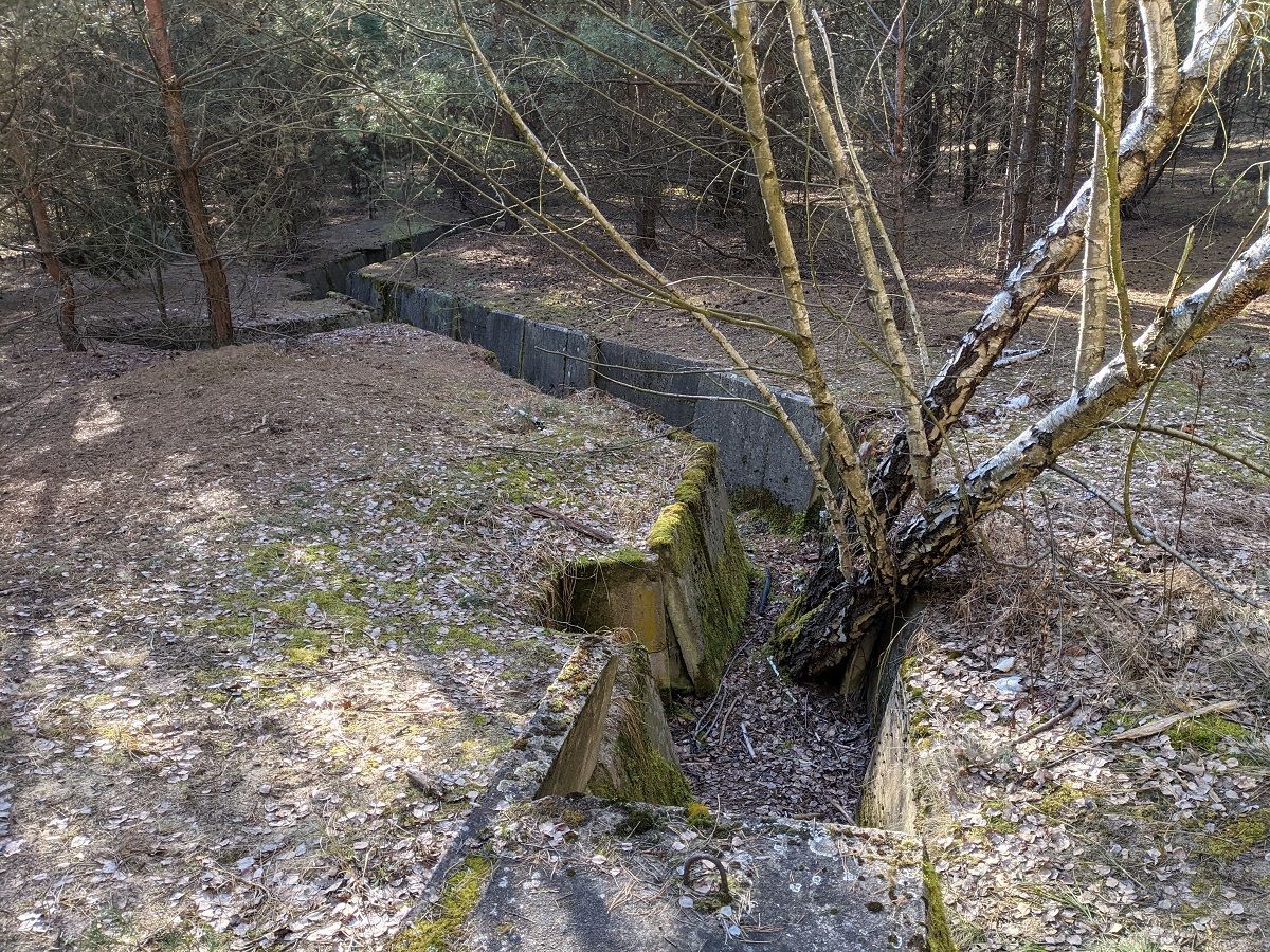 Paschenfeld03.jpg