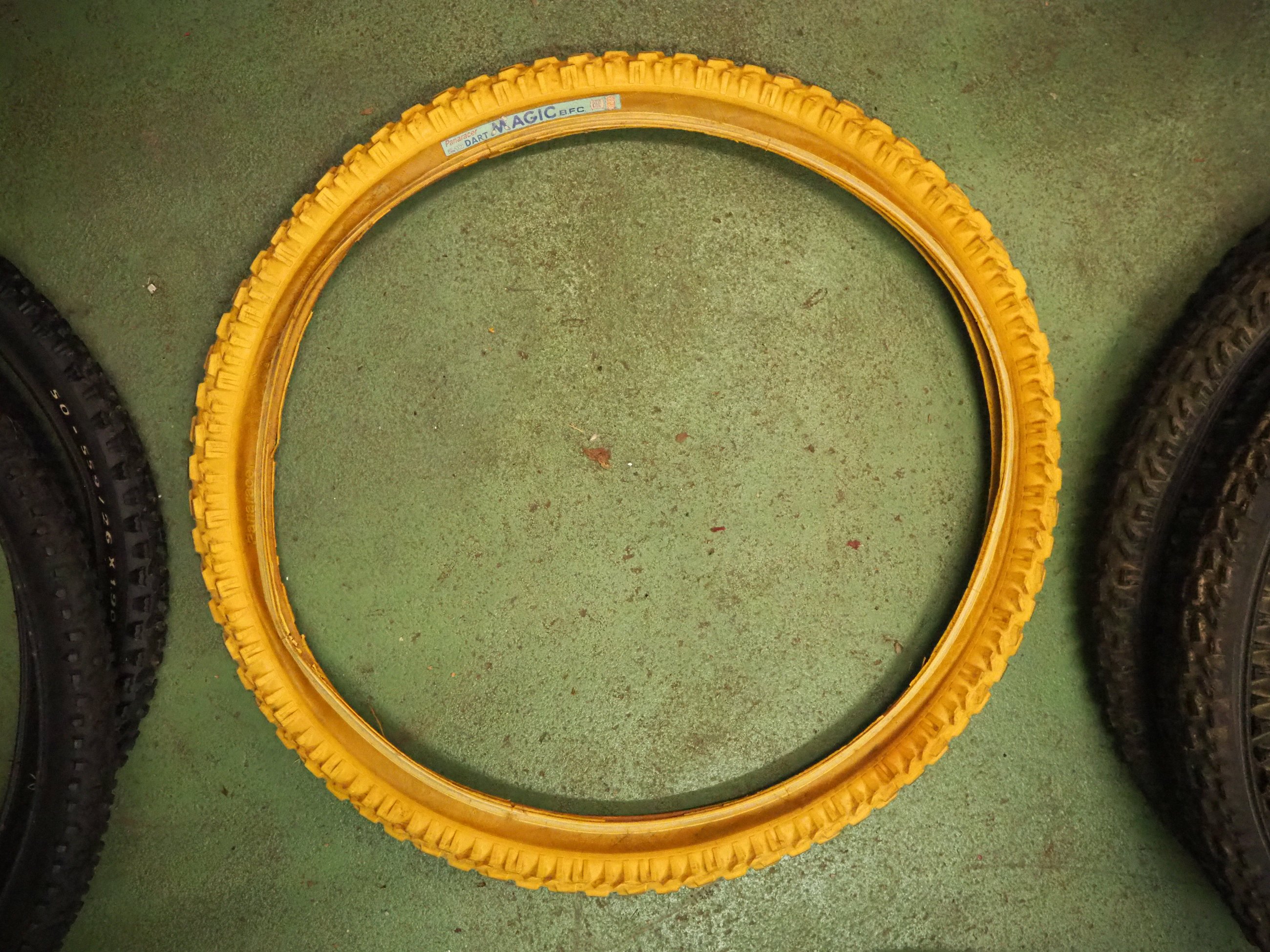 PB240667.JPG