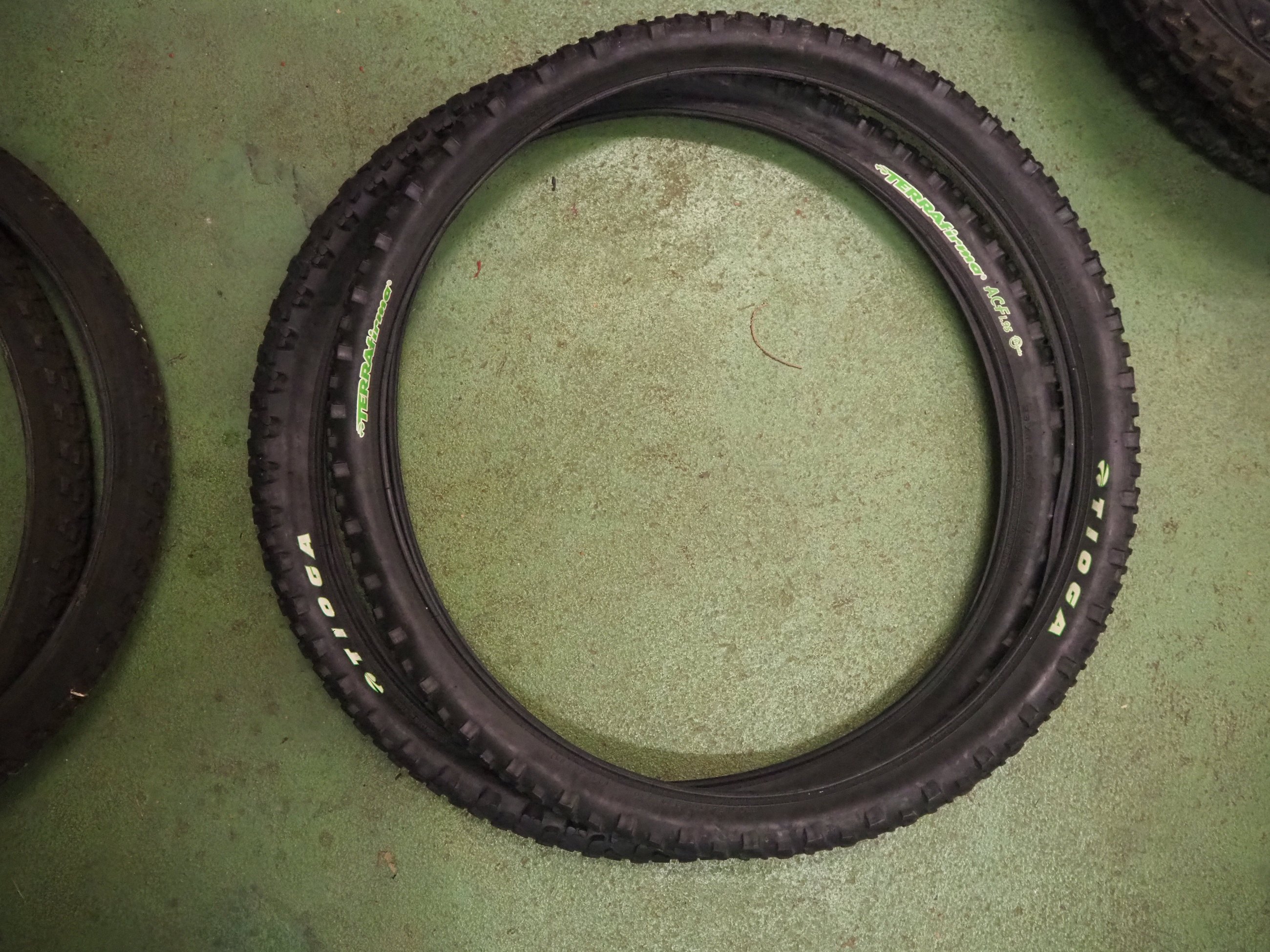 PB240668.JPG