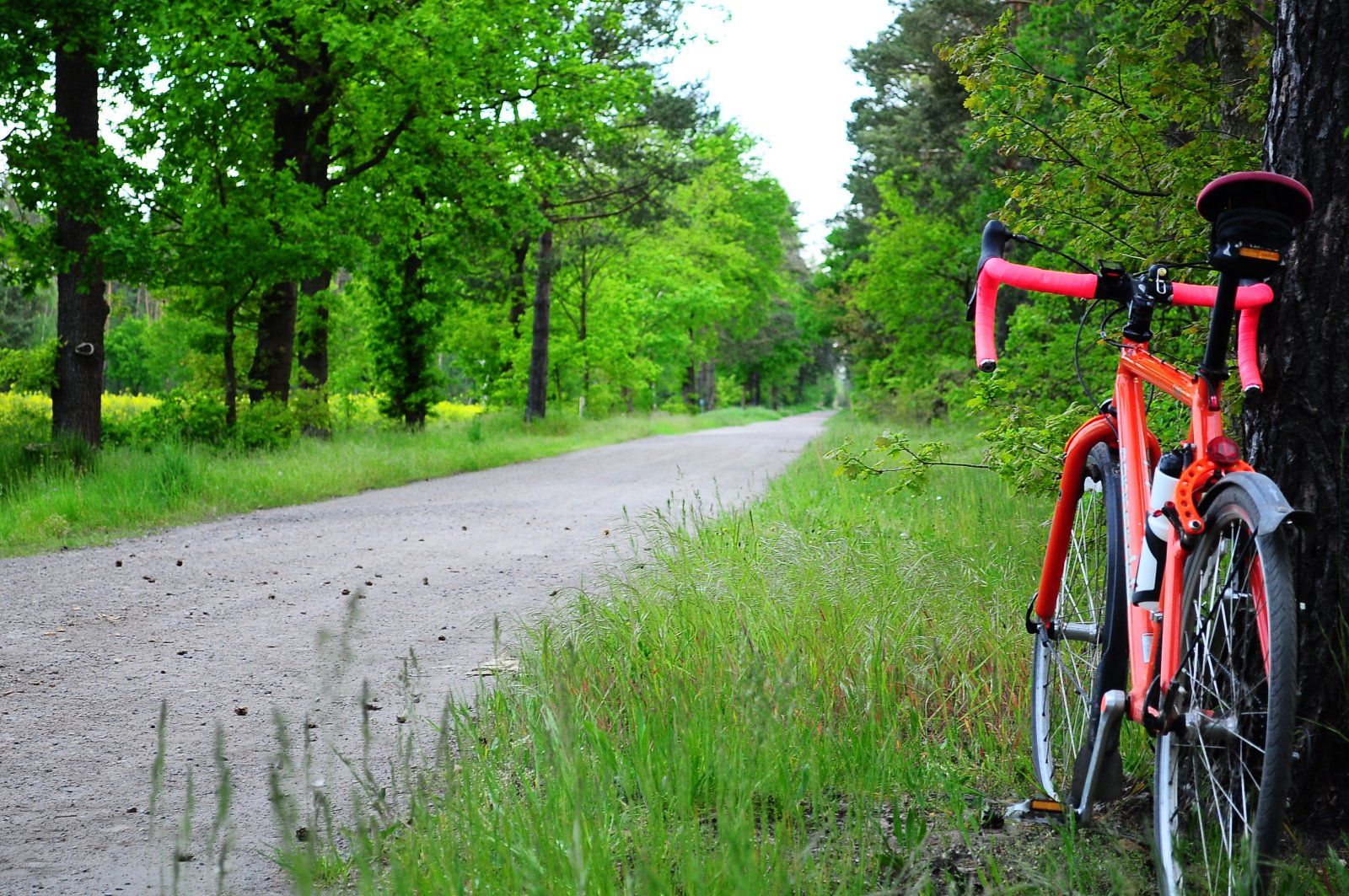 Pendler-Bike 005.JPG
