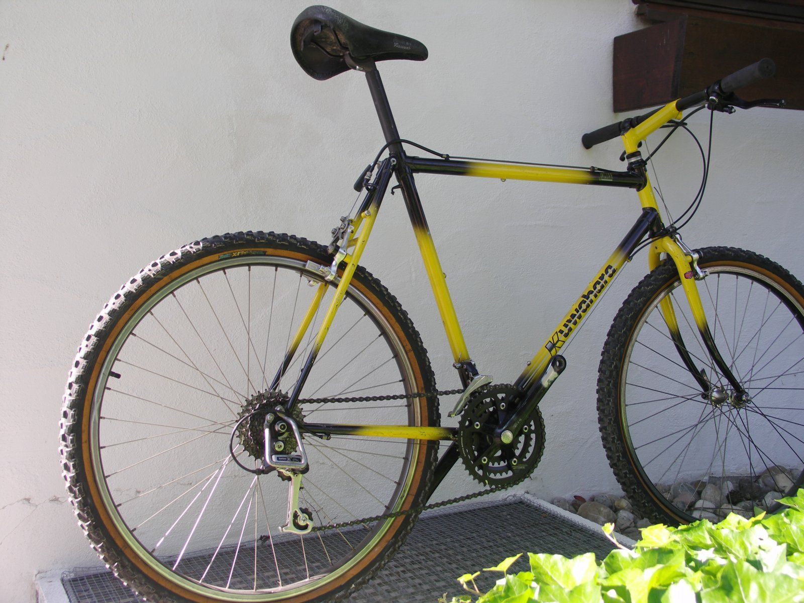 PICT0001.JPG