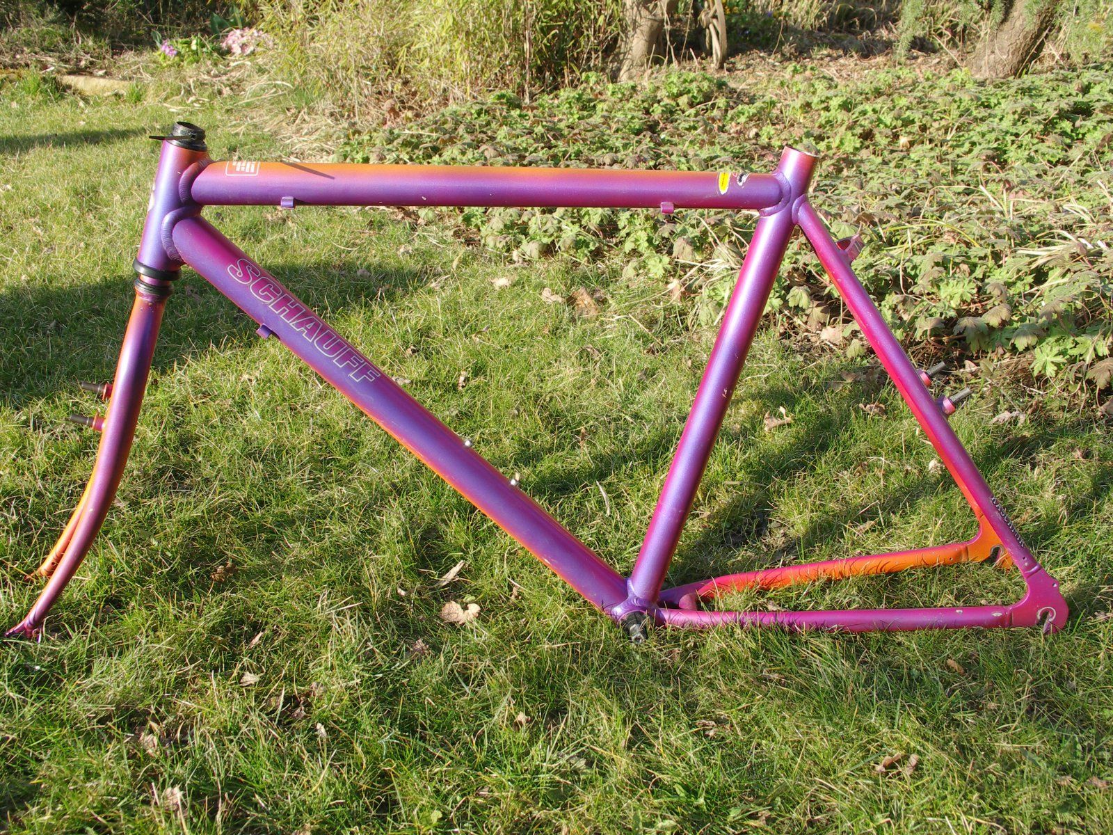 PICT0085.JPG