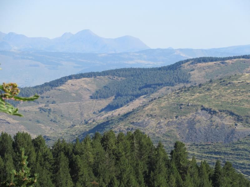 PIRENEIOS_2019_pct_mi_ 848.JPG