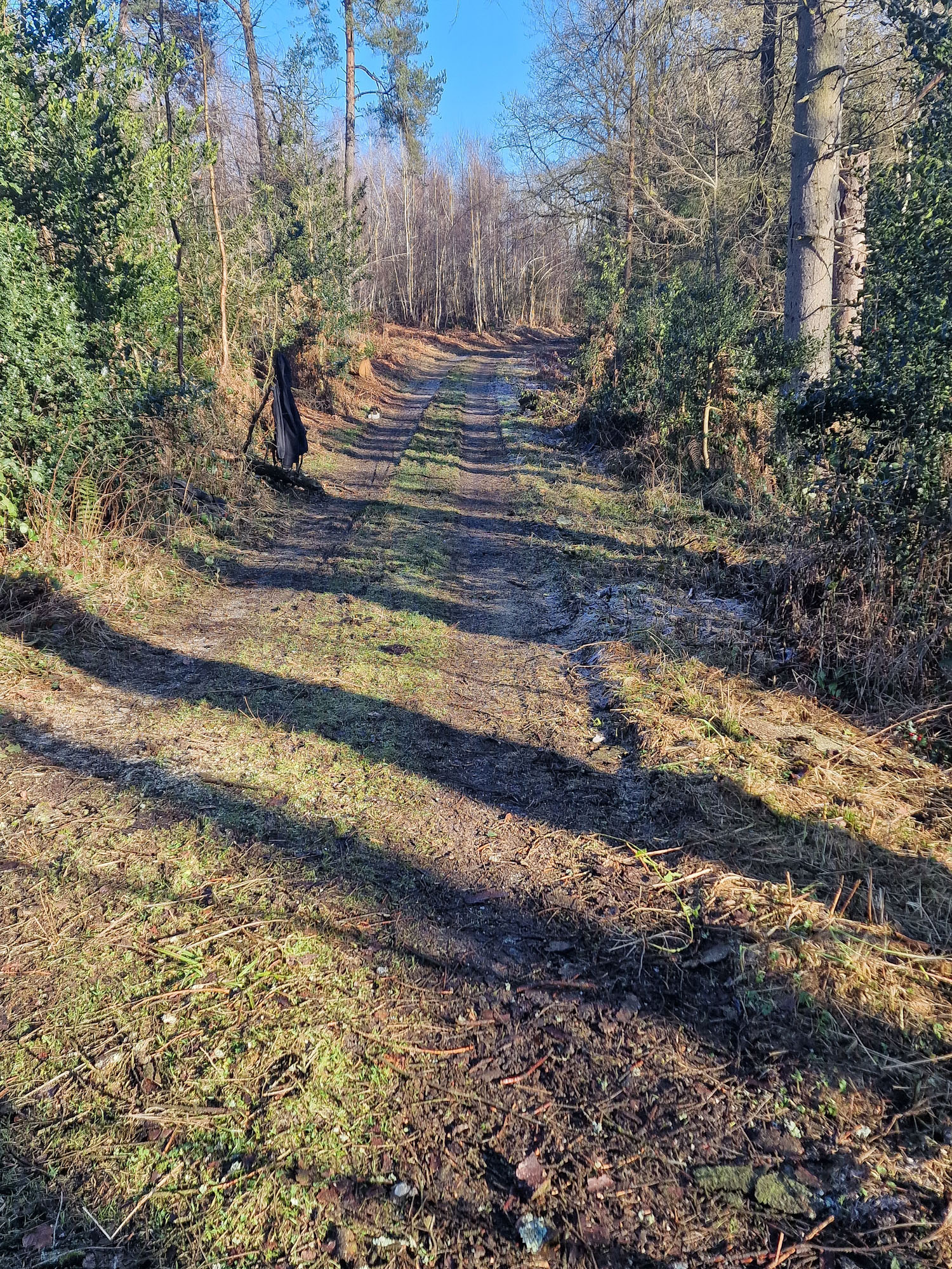PSX_20250201_171517.jpg