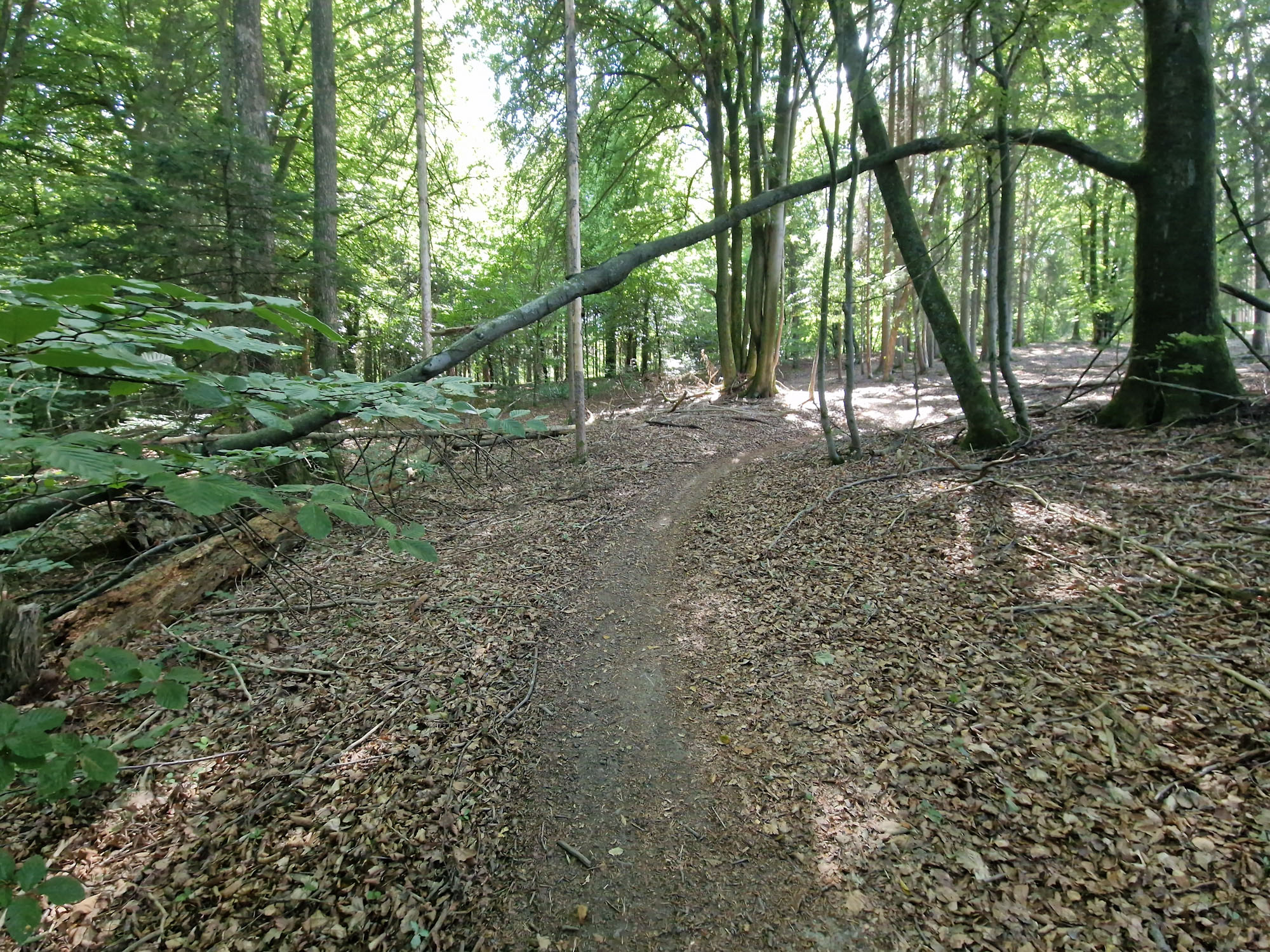 PSX_20250828_123737.jpg