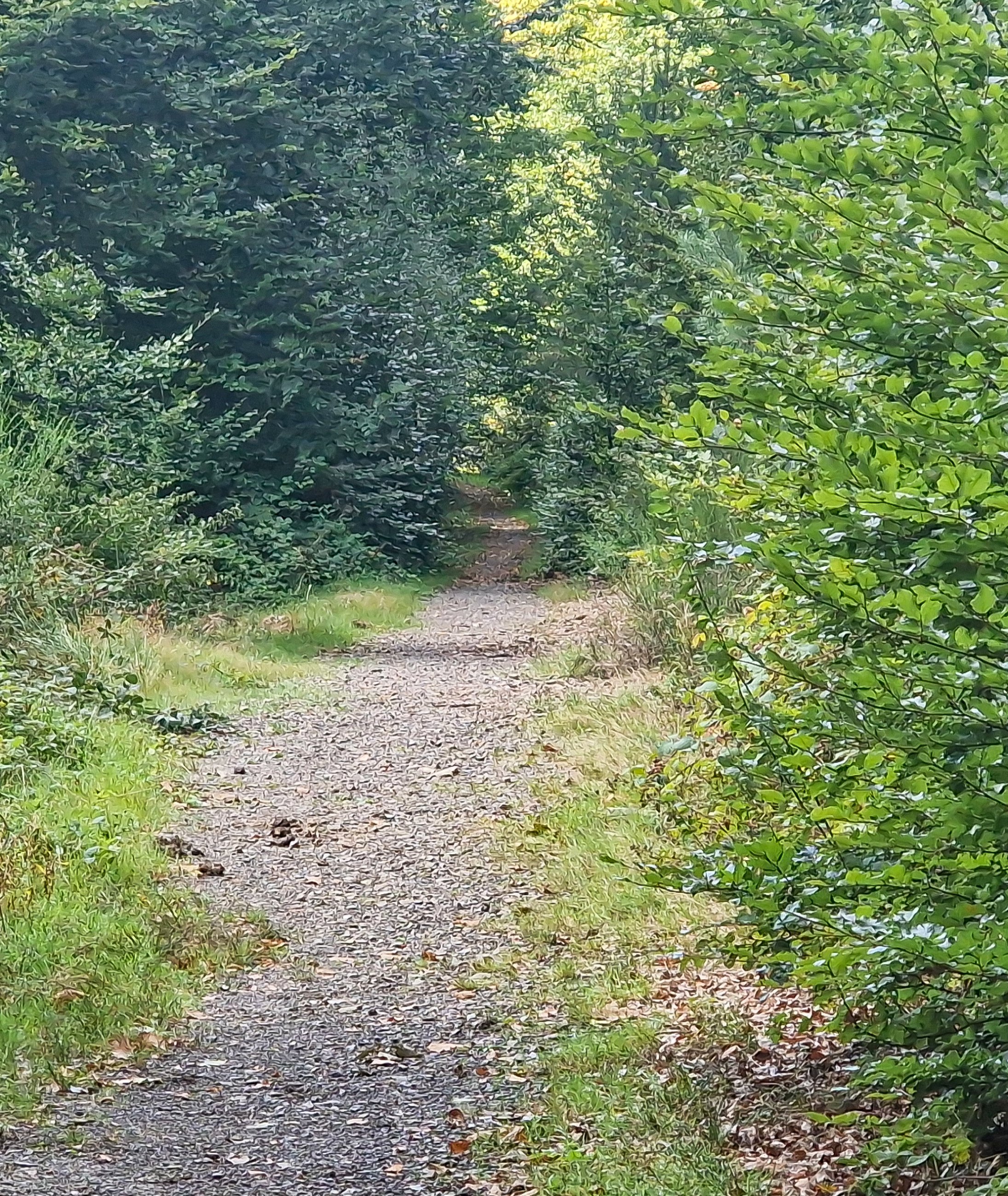 PSX_20250907_004344.jpg