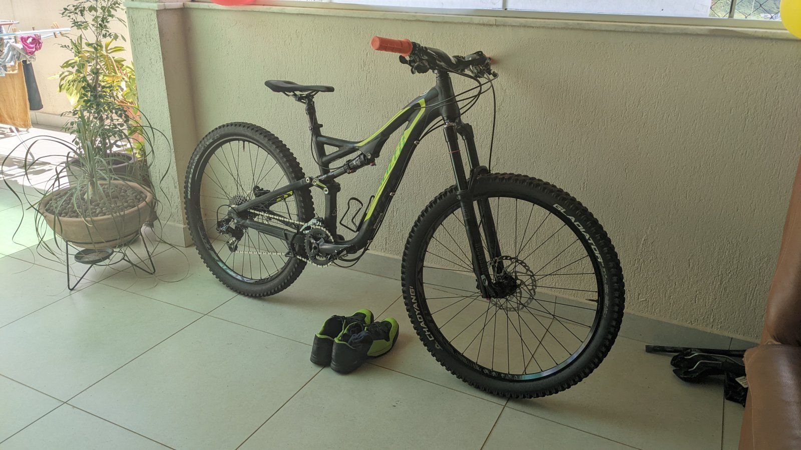 PXL_20220123_143545564.MP.jpg