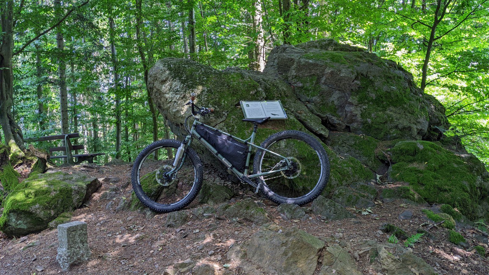 PXL_20220708_114015233.jpg