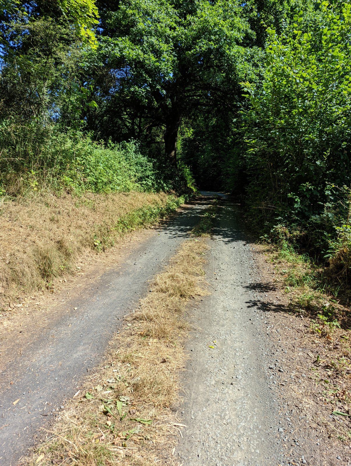 PXL_20220719_092704448.jpg