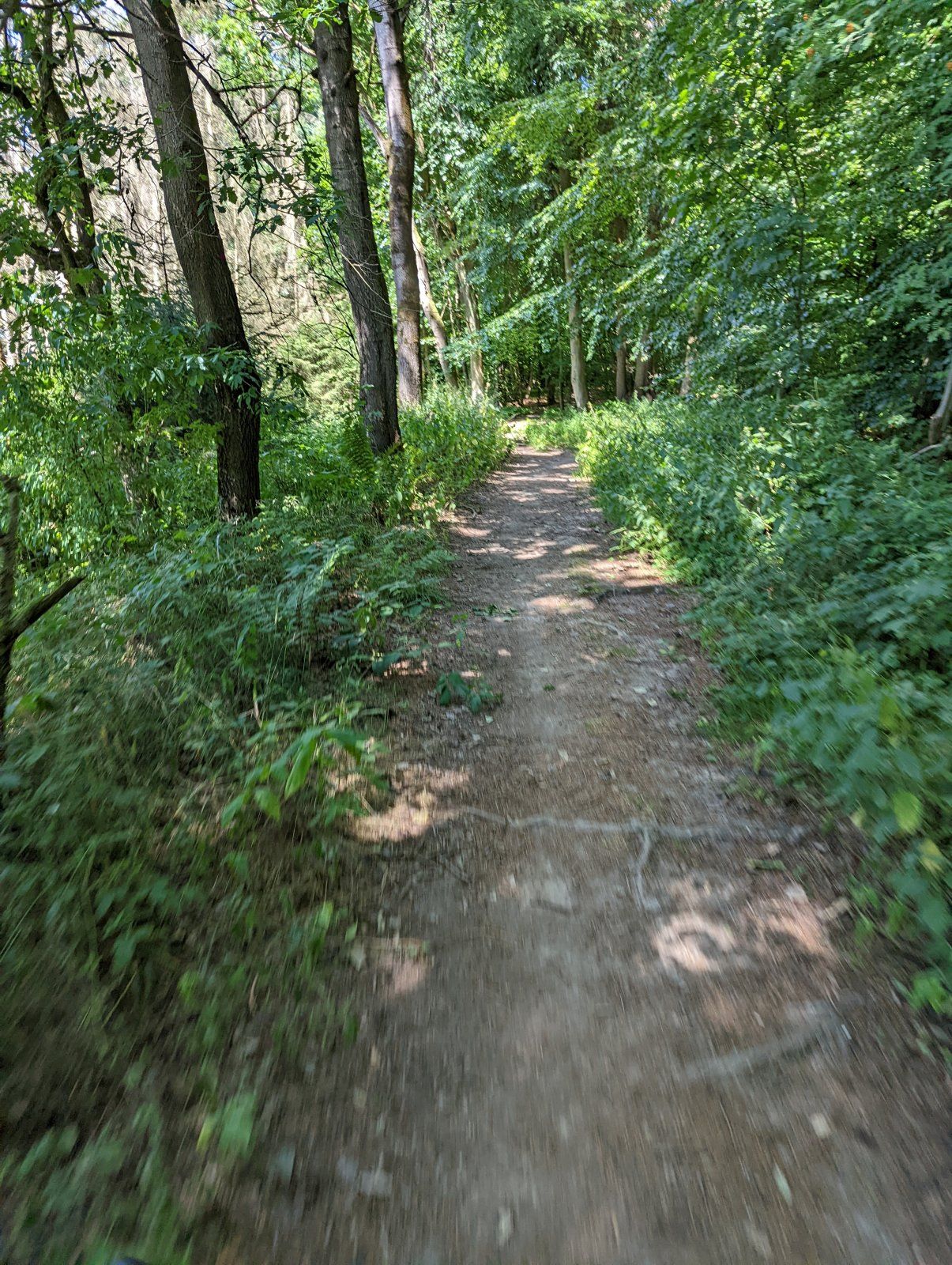 PXL_20220719_095754739.jpg