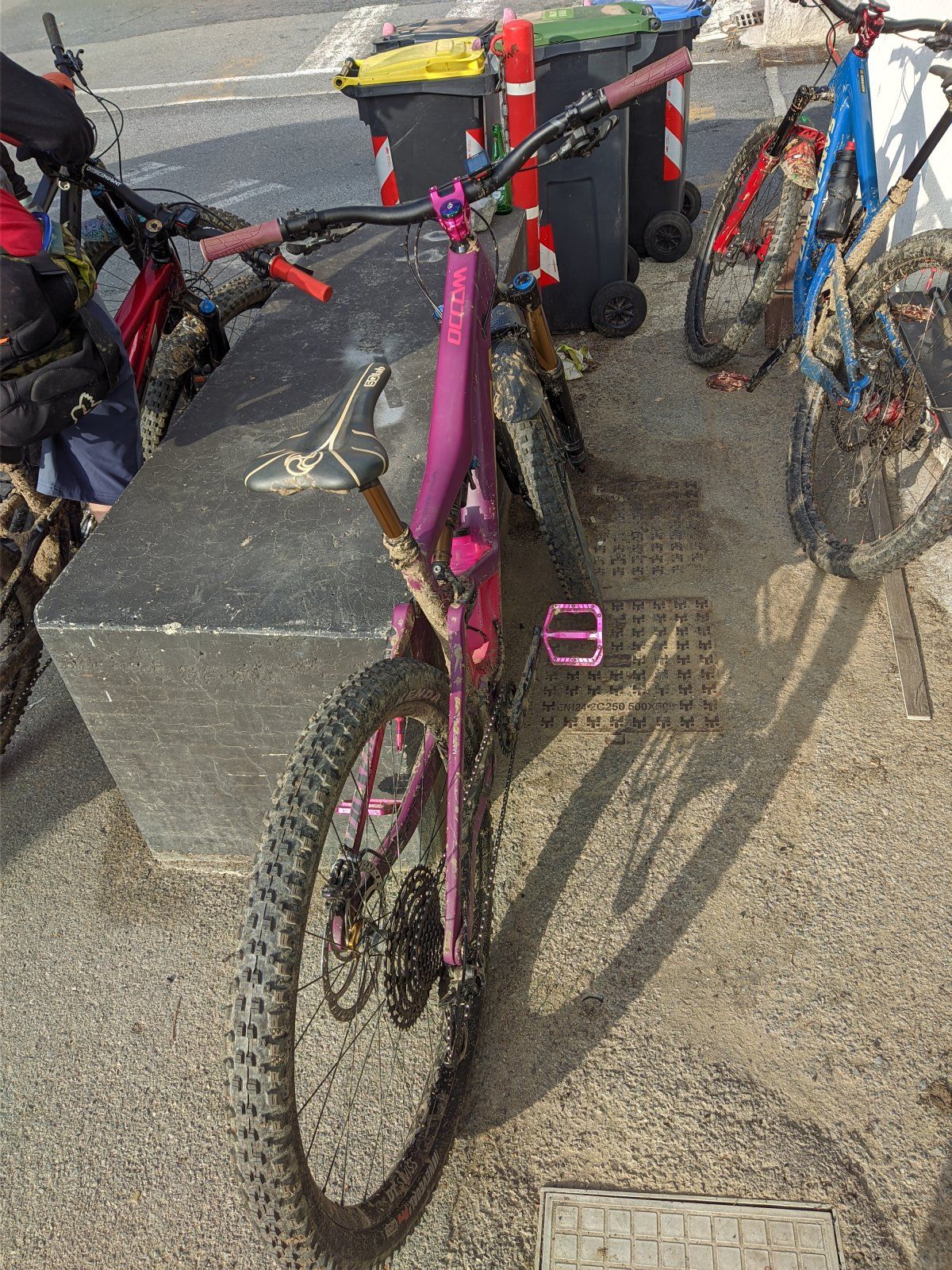 PXL_20221027_101649007.jpg