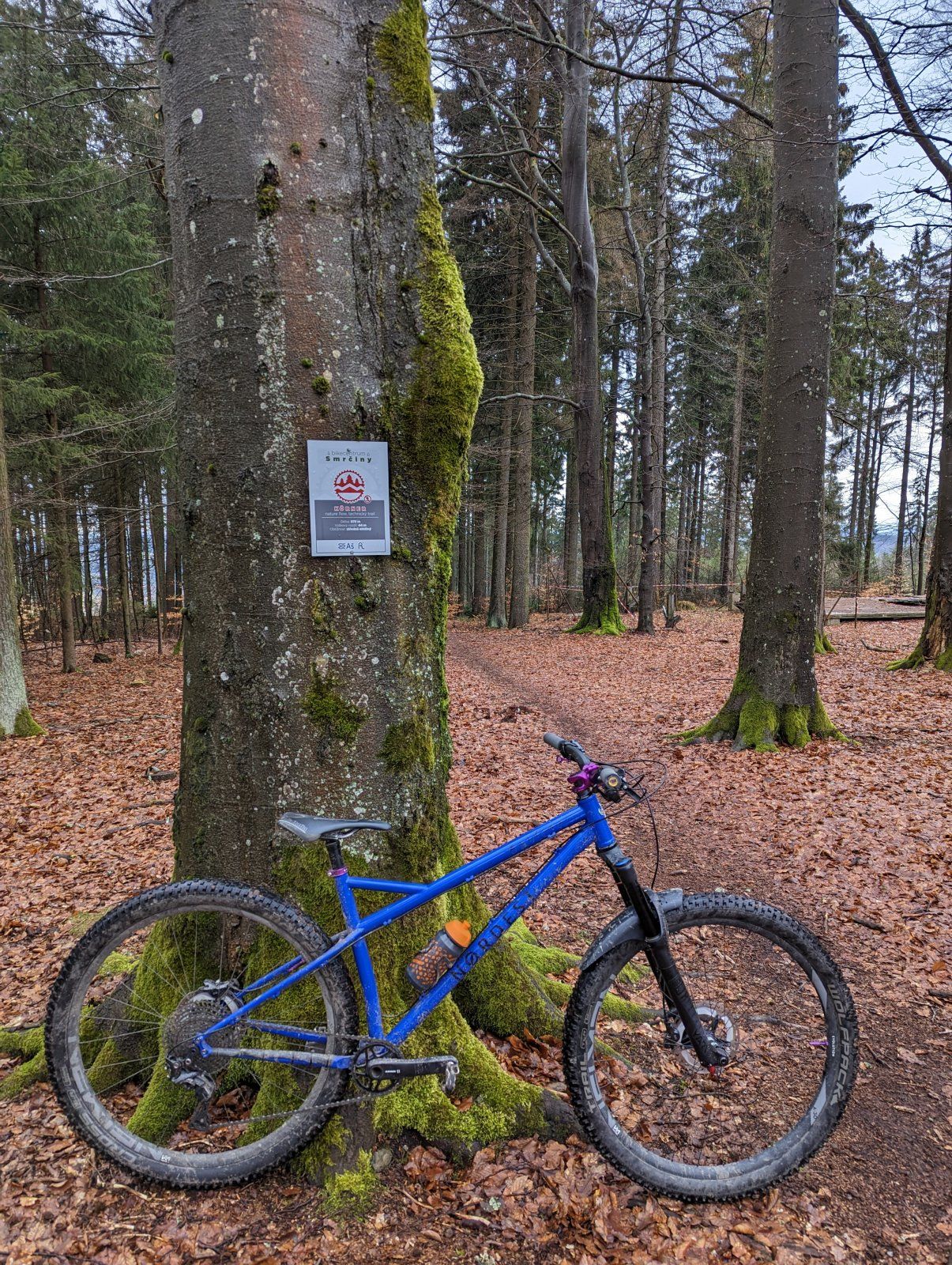 PXL_20230326_152517470.jpg