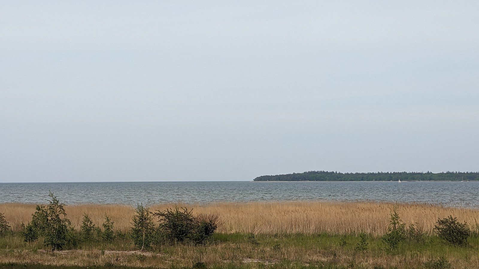 PXL_20230521_150035075.jpg