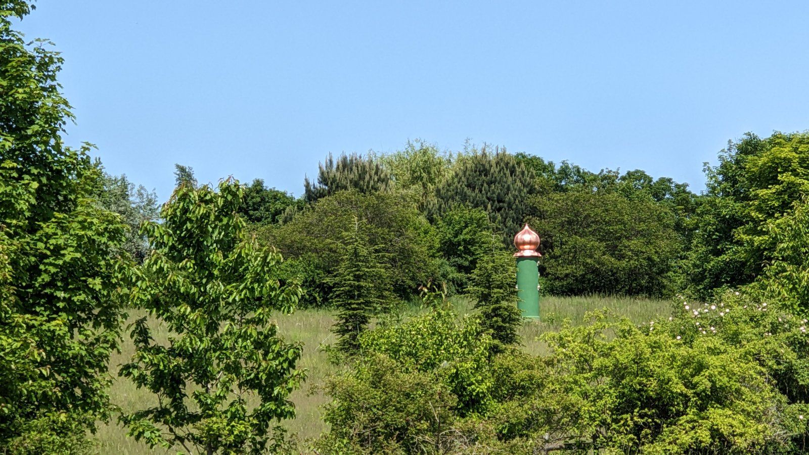 PXL_20230528_130221996.jpg