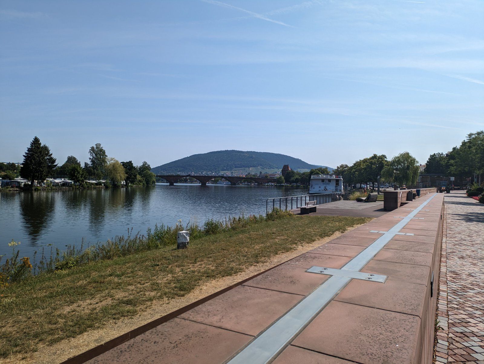 PXL_20230626_084110620.jpg
