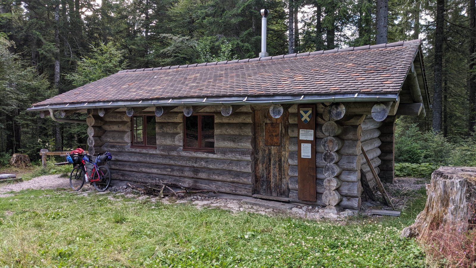 PXL_20230731_174232129.jpg