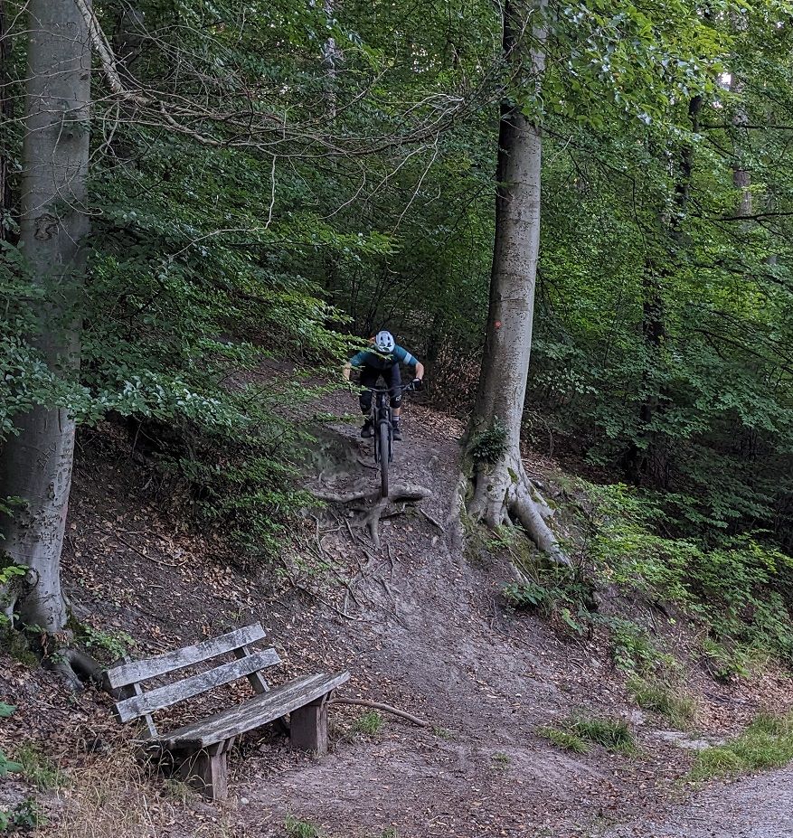 PXL_20230910_065258041.jpg